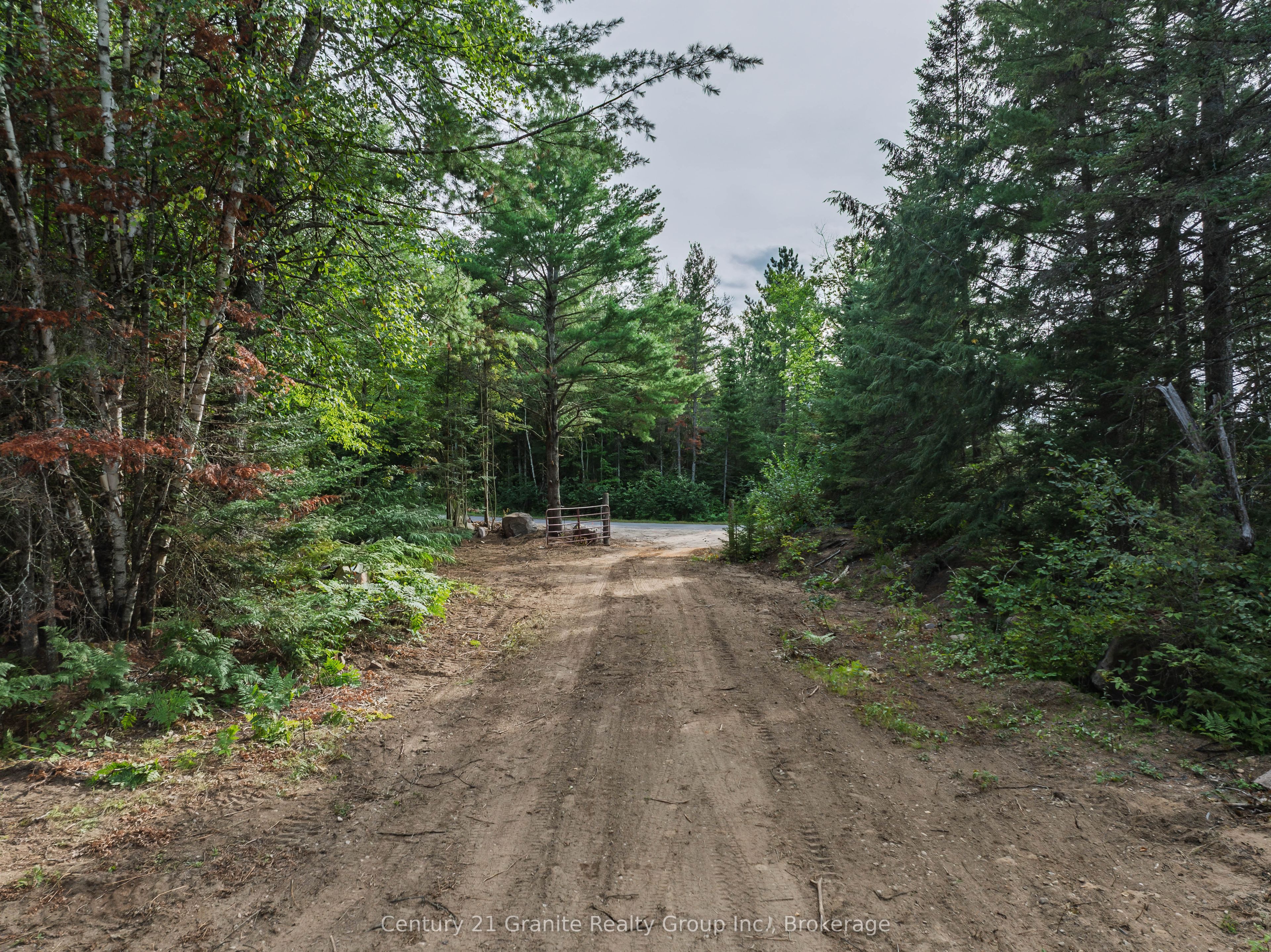 1241 Koshlong Lake Road Property Photo 29
