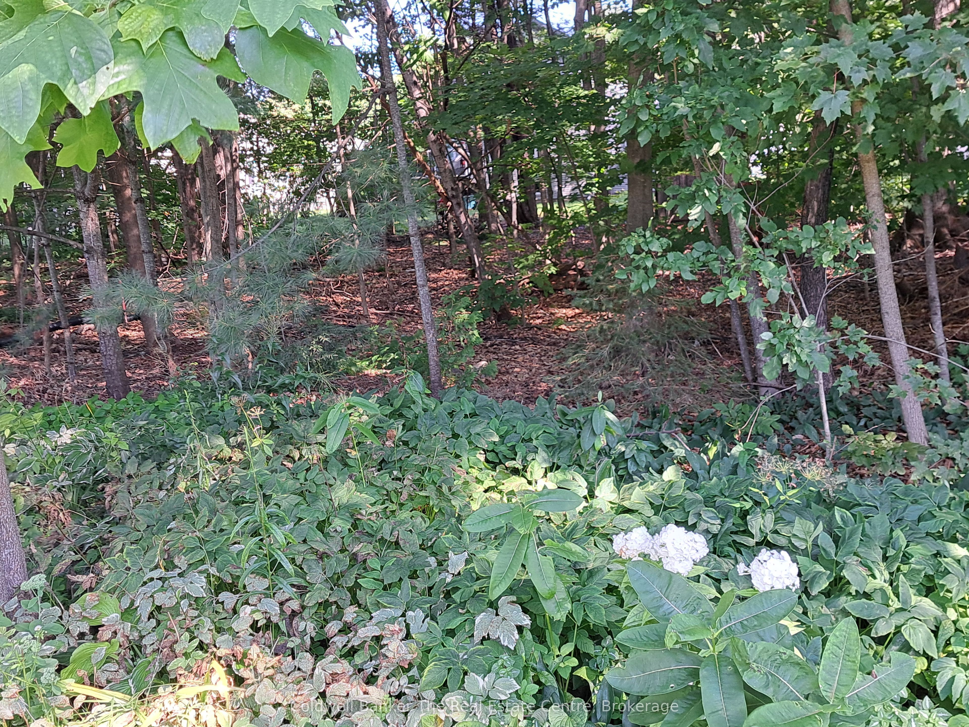 76 Pine Ridge Gate Property Photo 24