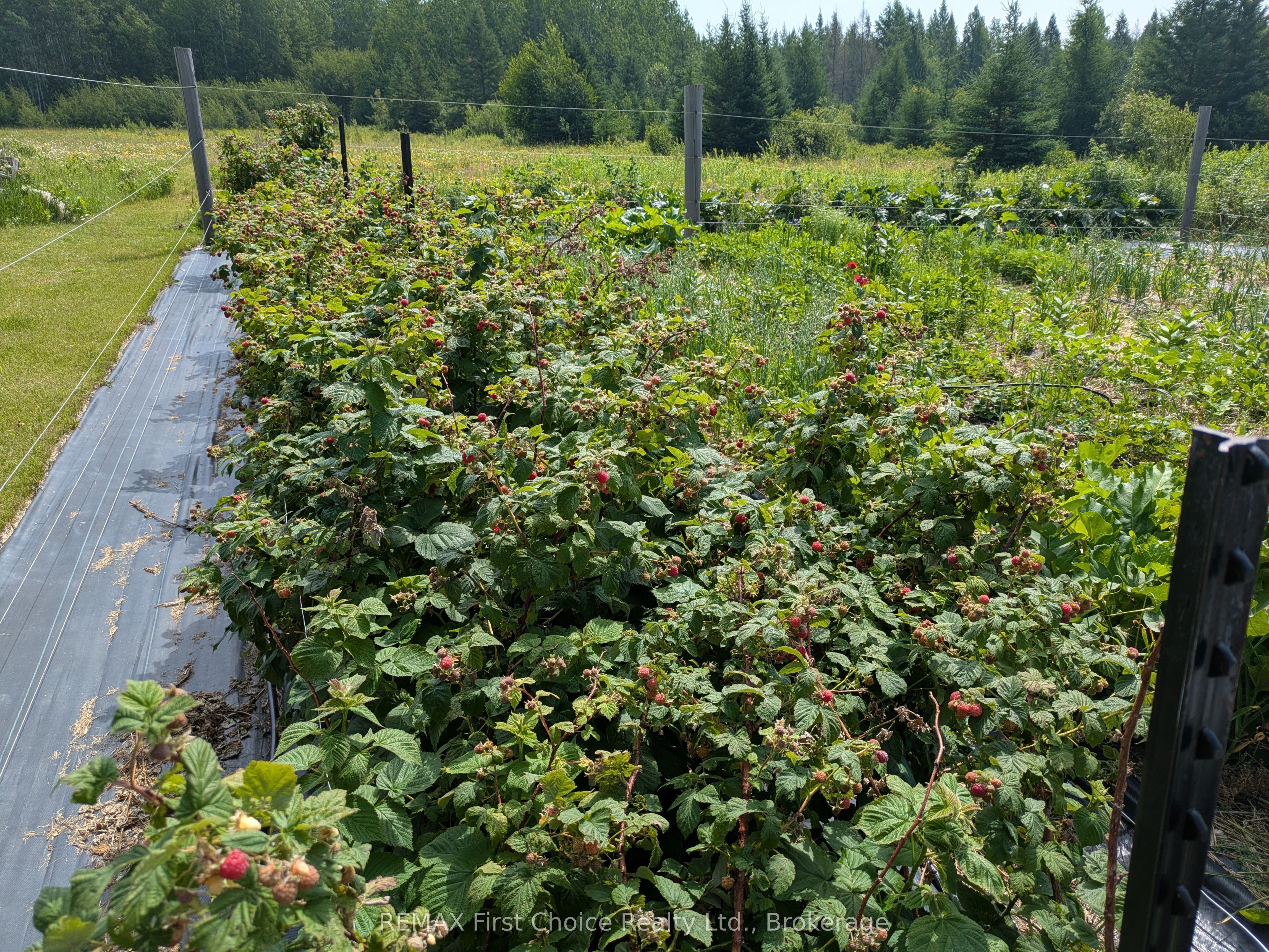 Pcl23545 Sec 16 Lauzon Road Property Photo 11