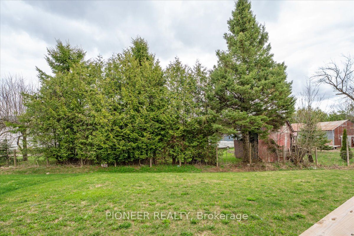 5 Todd Crescent Property Photo 43