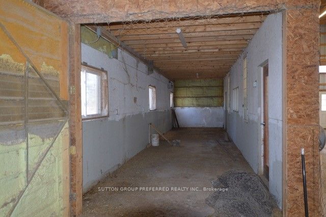 301b Mary Street Property Photo 4