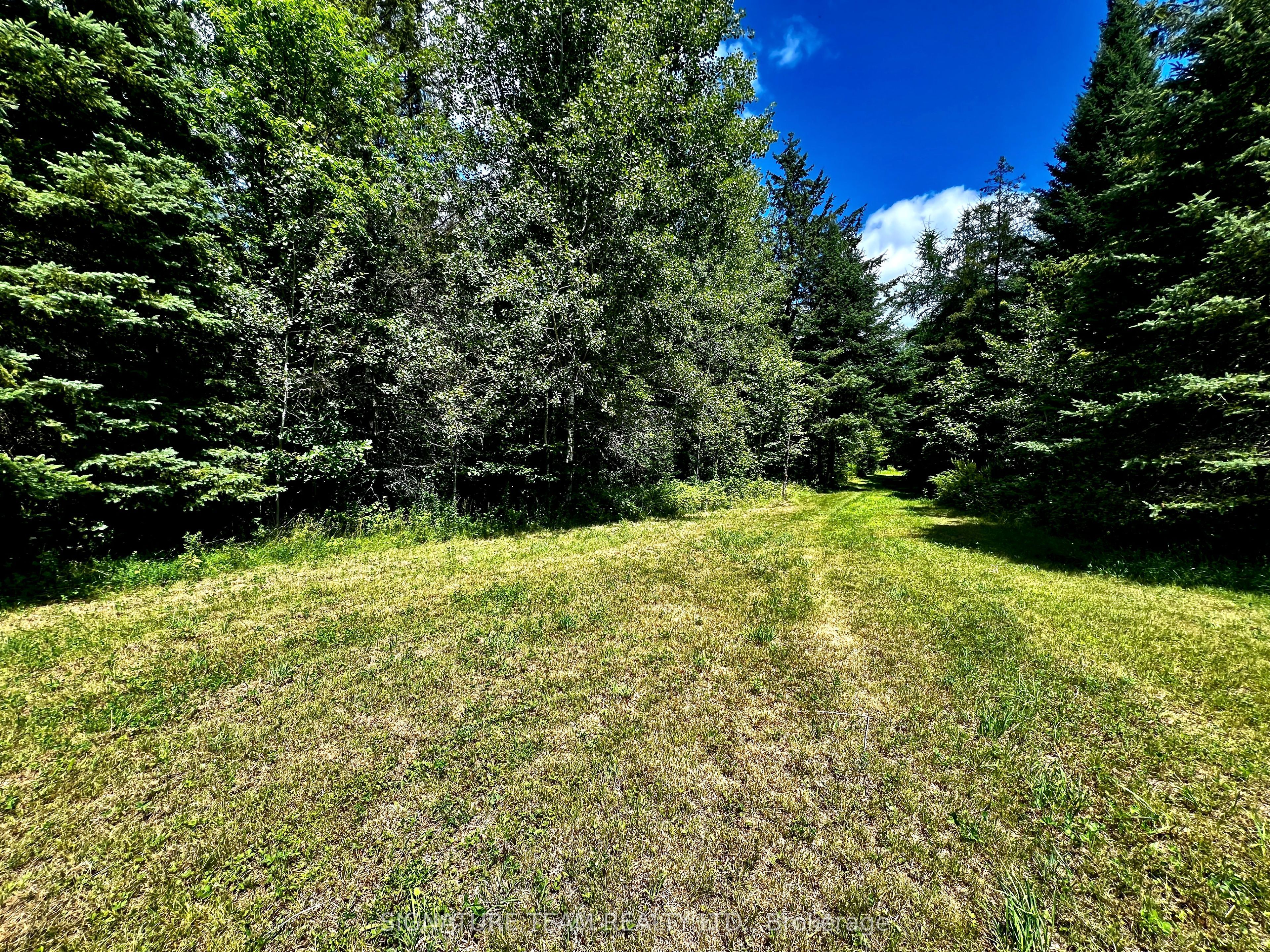 174 Budd Road Property Photo 20