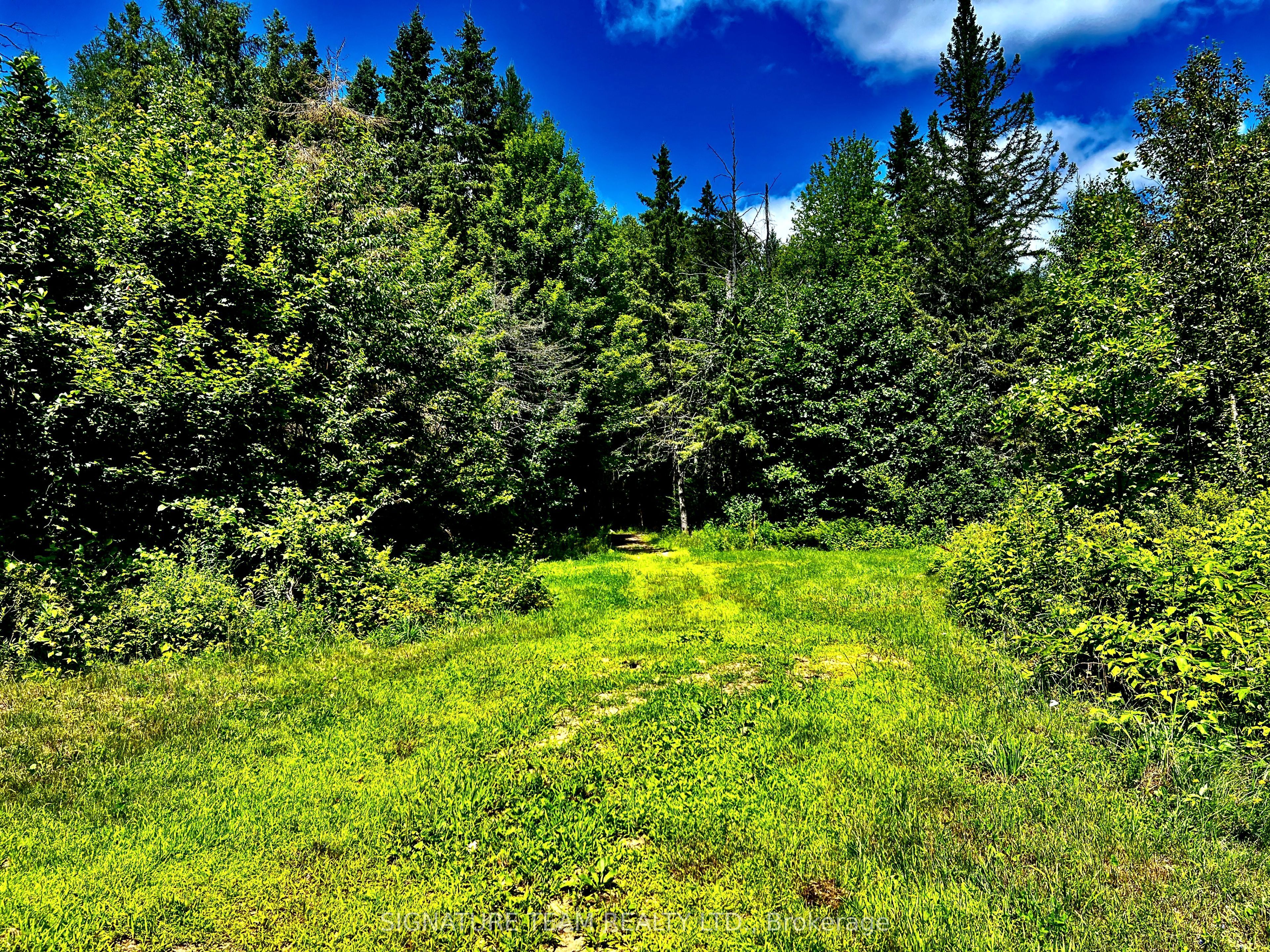 174 Budd Road Property Photo 21