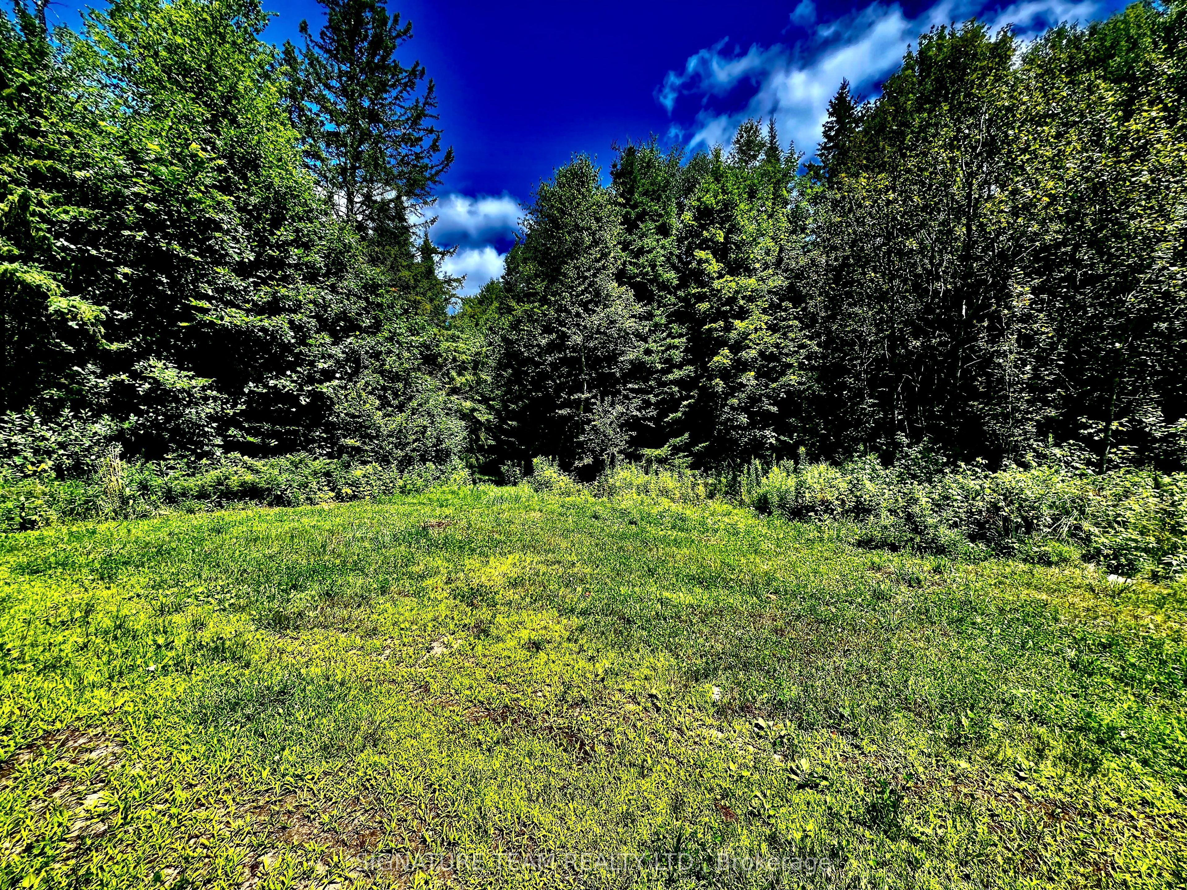 174 Budd Road Property Photo 23
