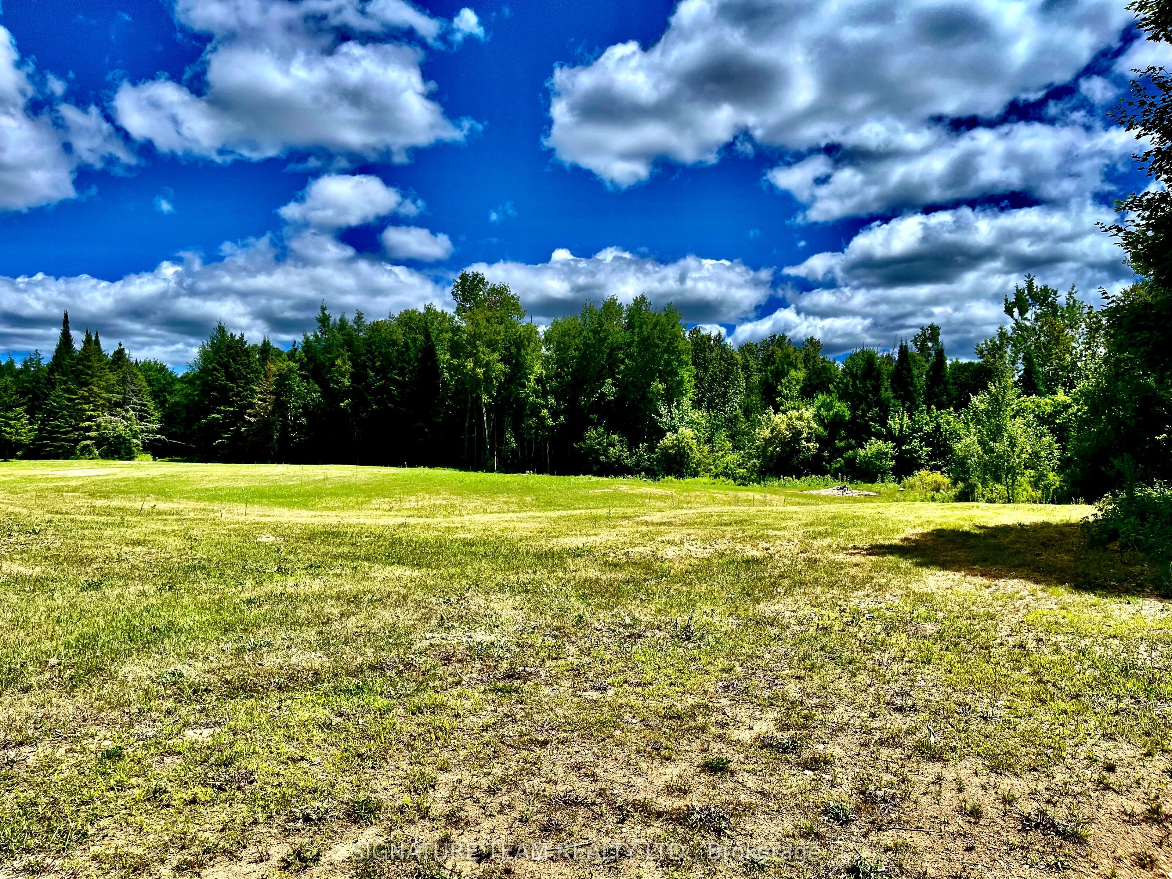 174 Budd Road Property Photo 26