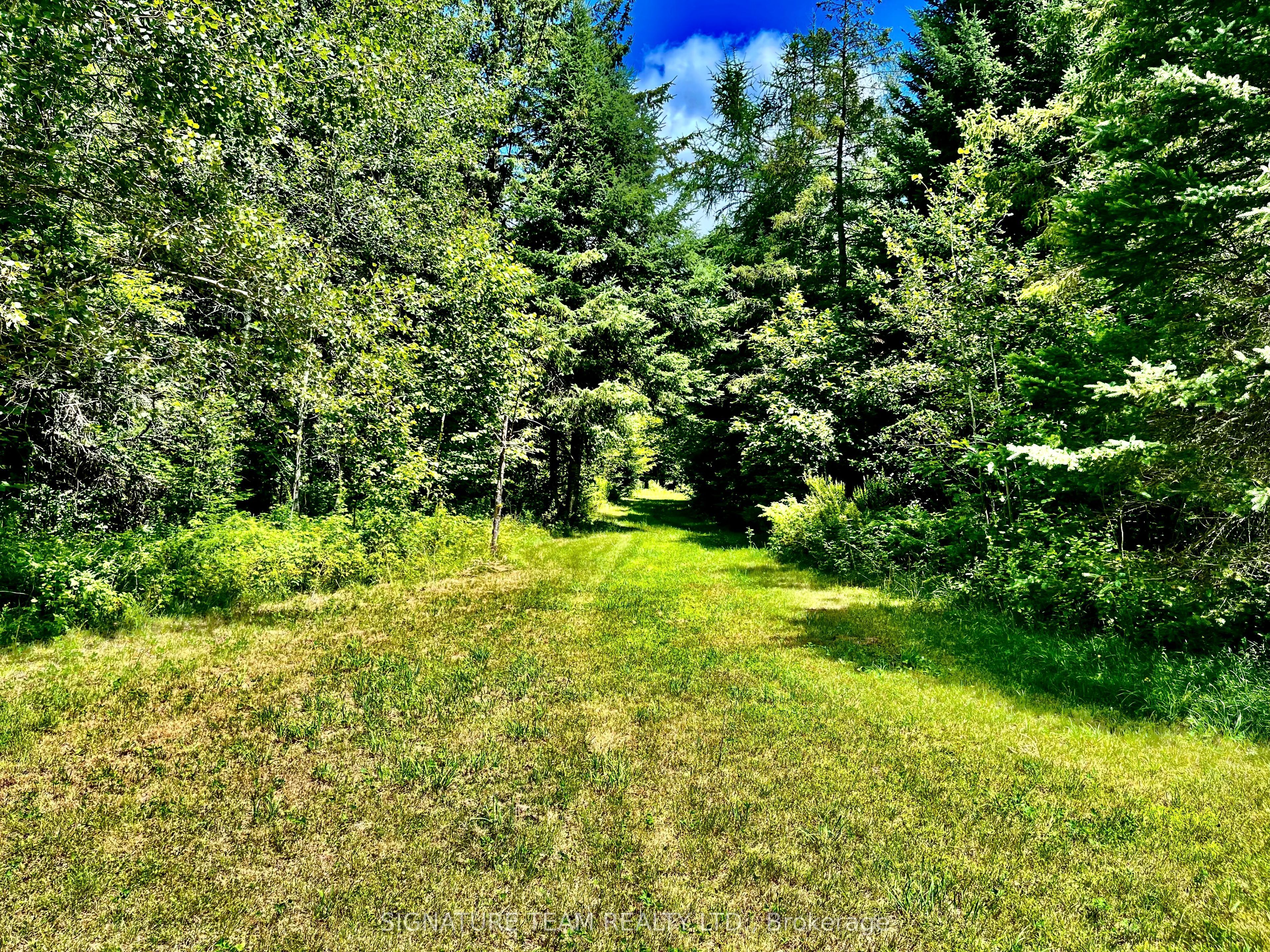174 Budd Road Property Photo 27
