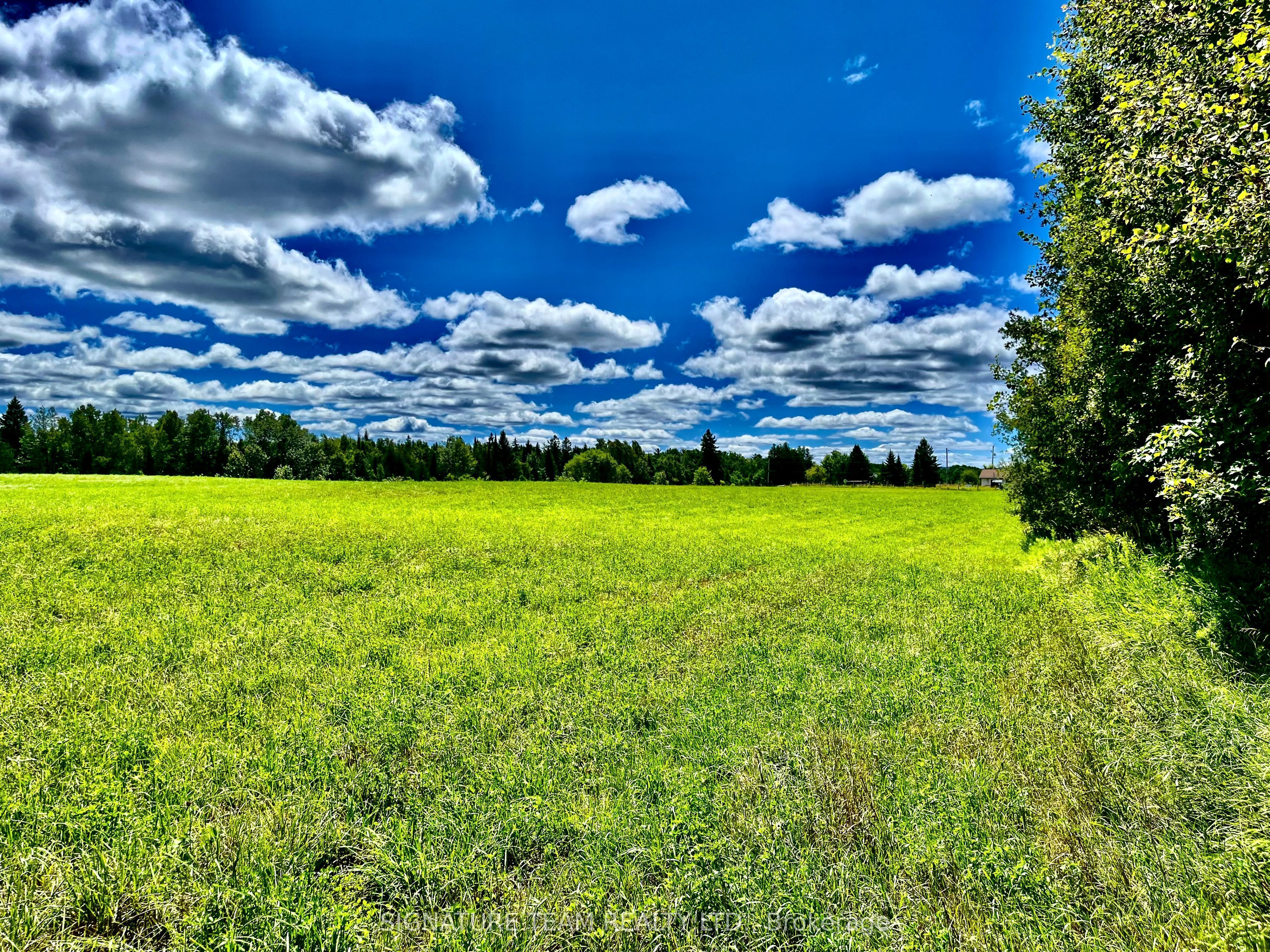 174 Budd Road Property Photo 30