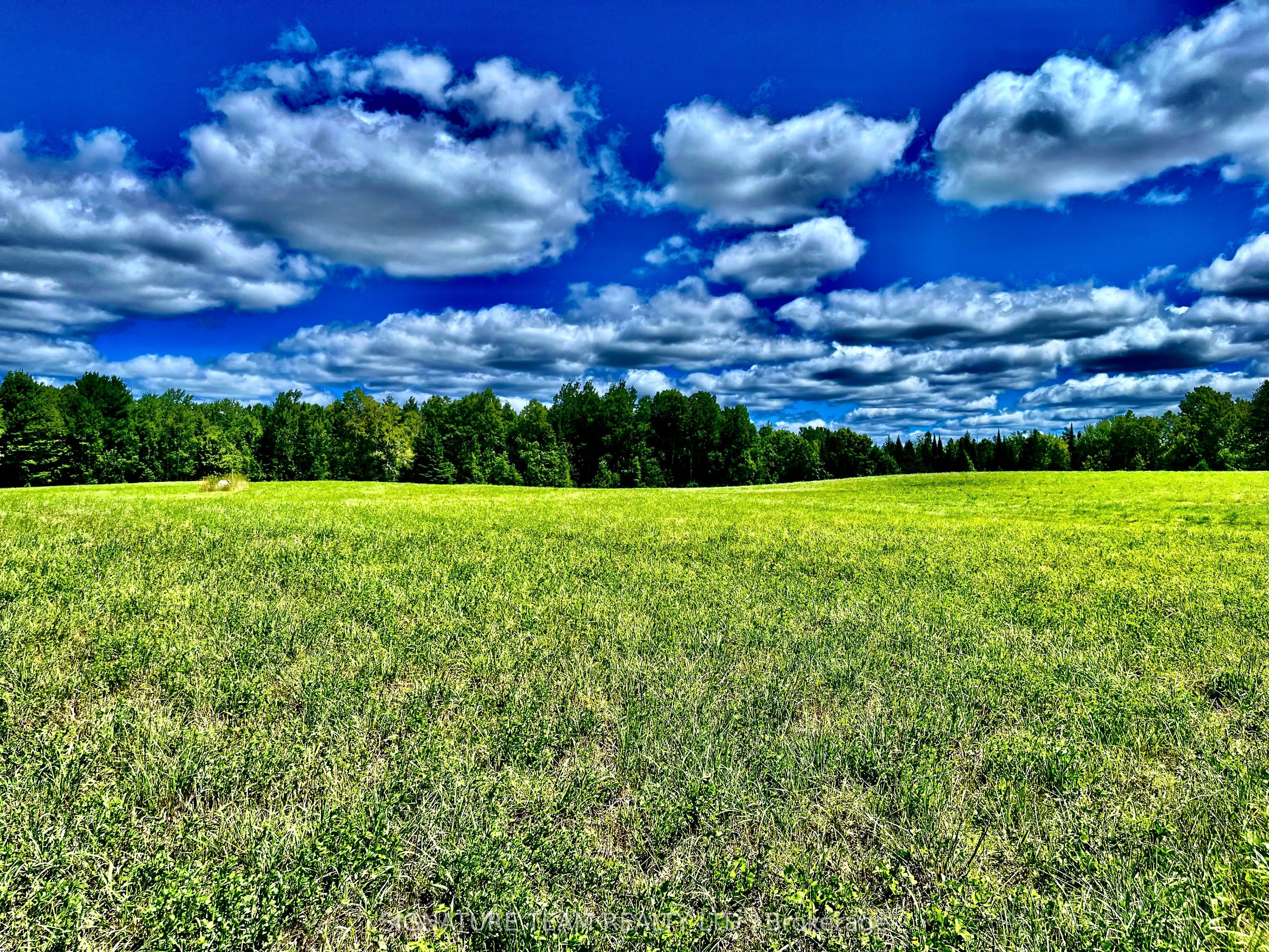 174 Budd Road Property Photo 32