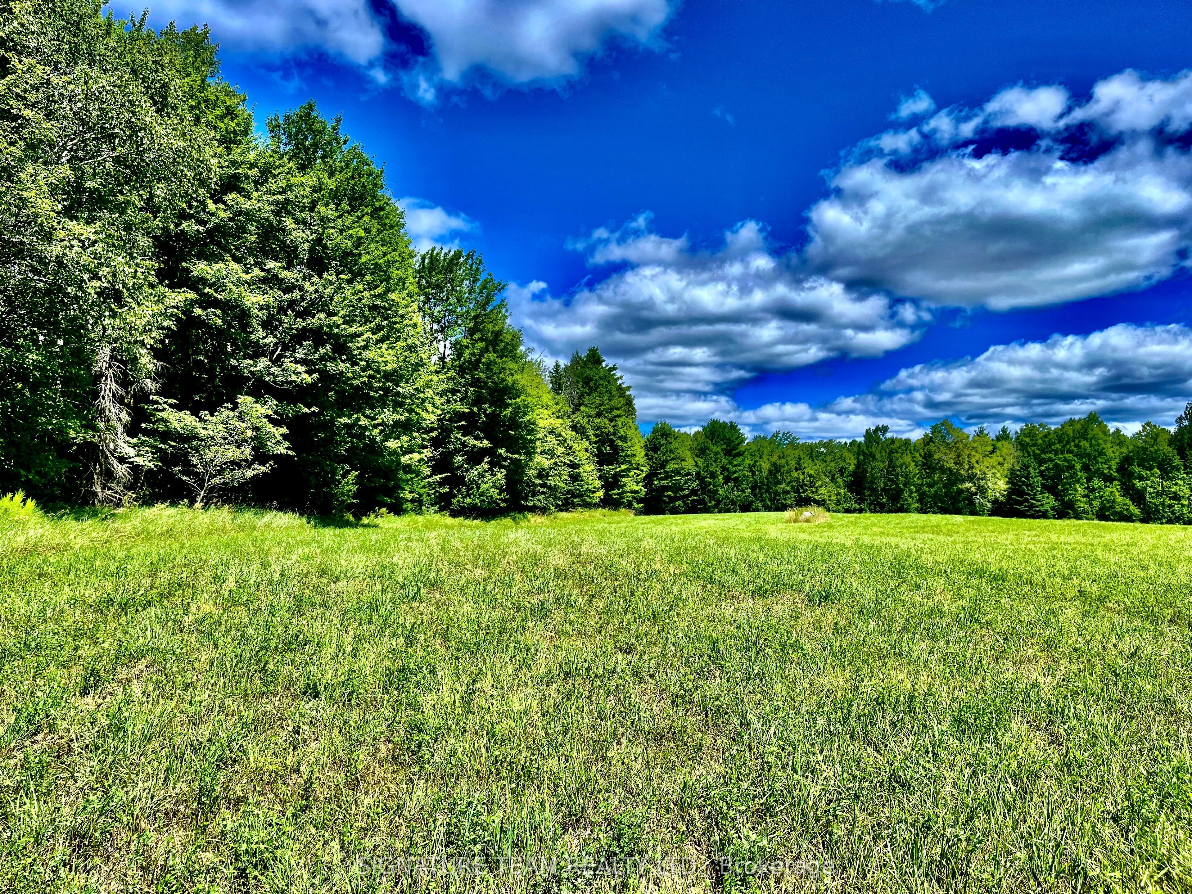 174 Budd Road Property Photo 33