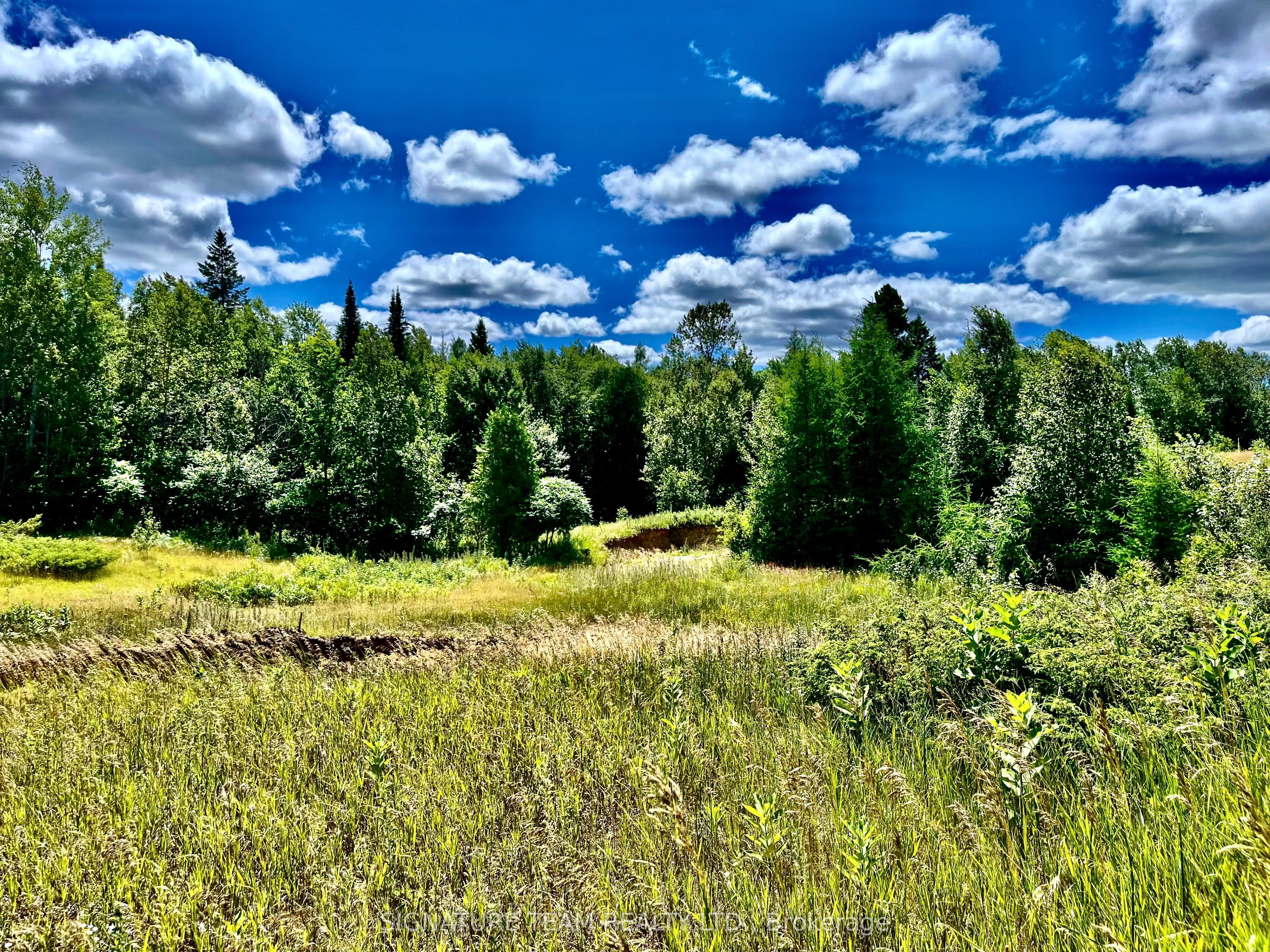 174 Budd Road Property Photo 34