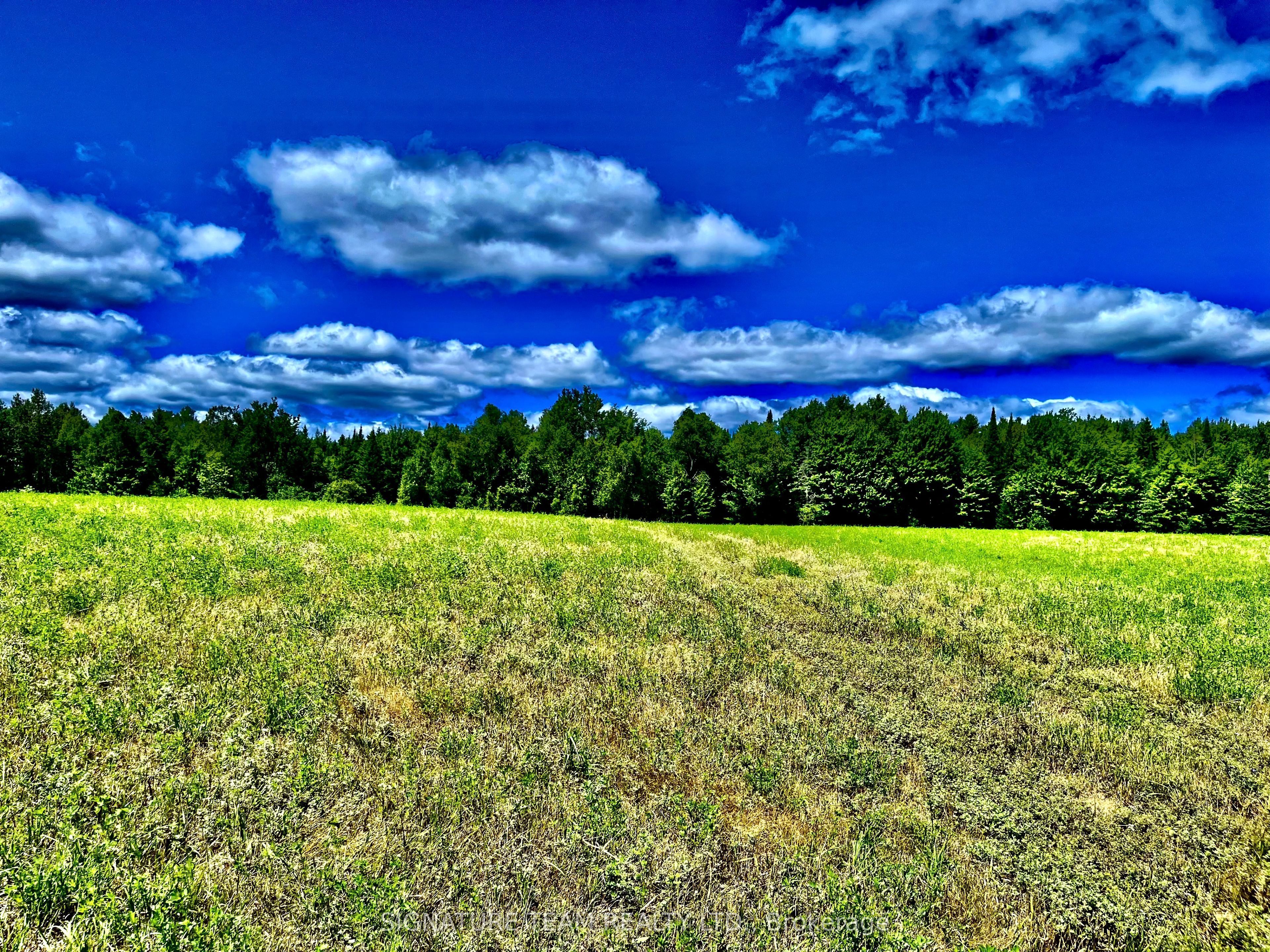 174 Budd Road Property Photo 35