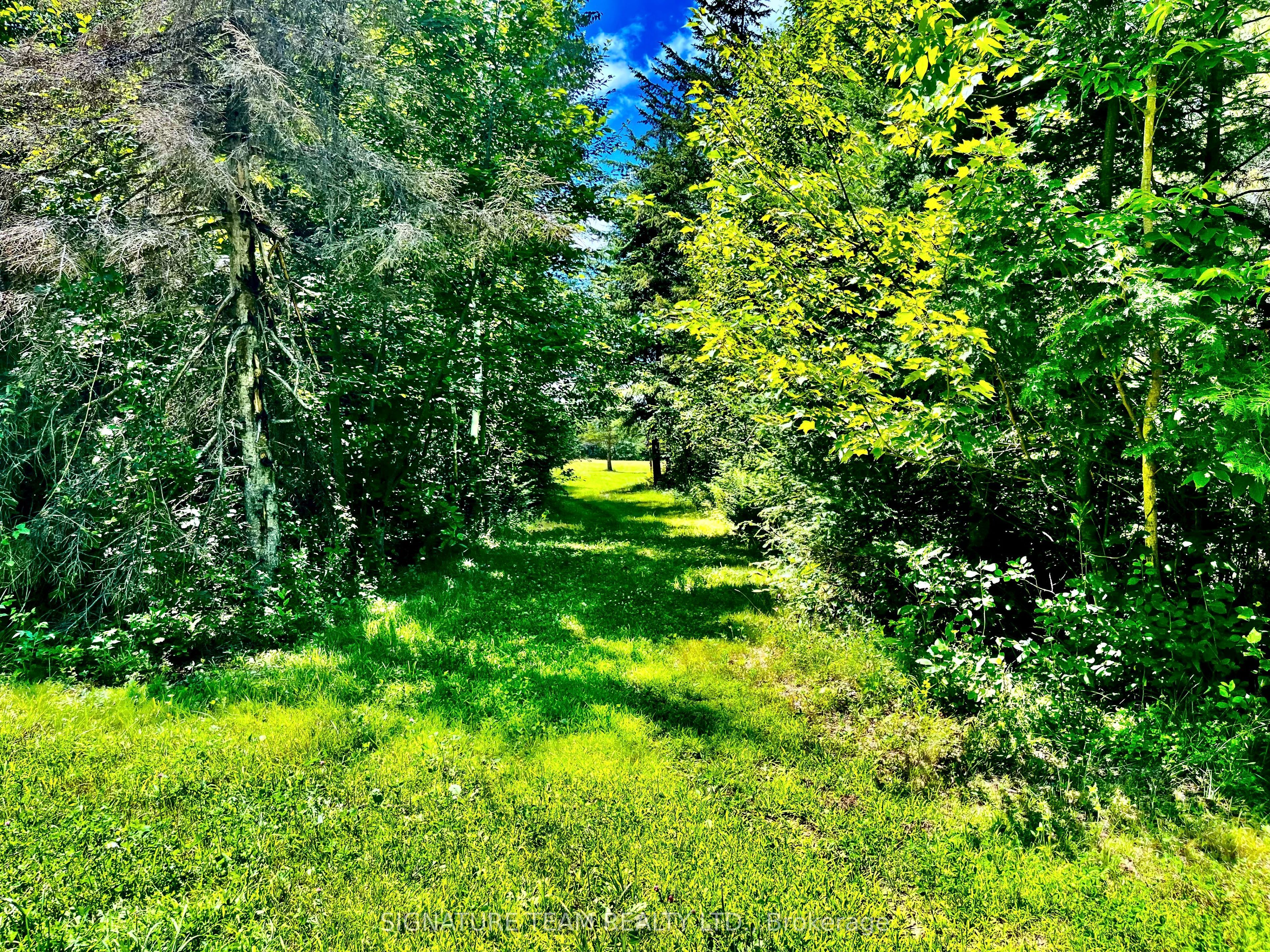 174 Budd Road Property Photo 38