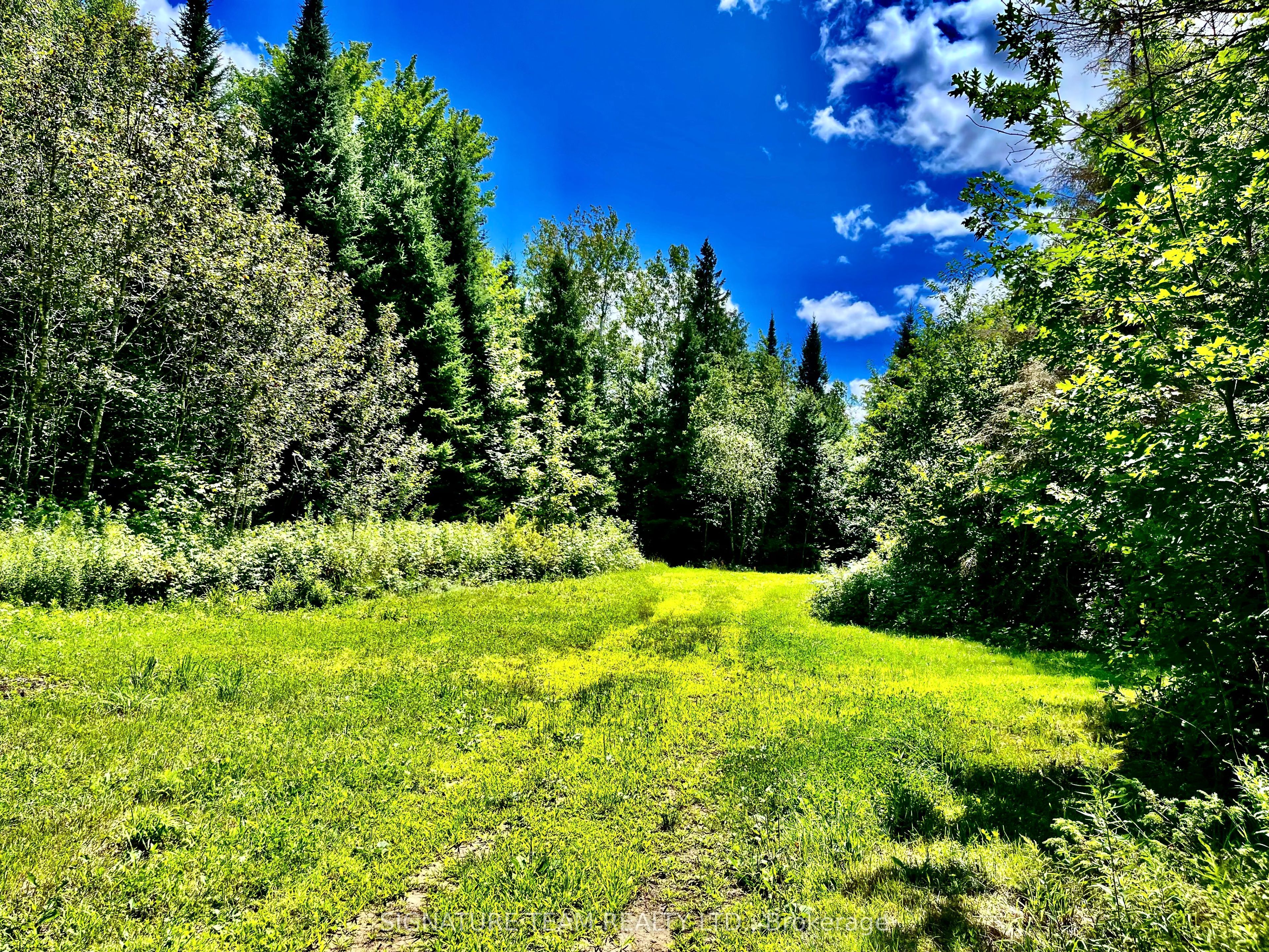 174 Budd Road Property Photo 41