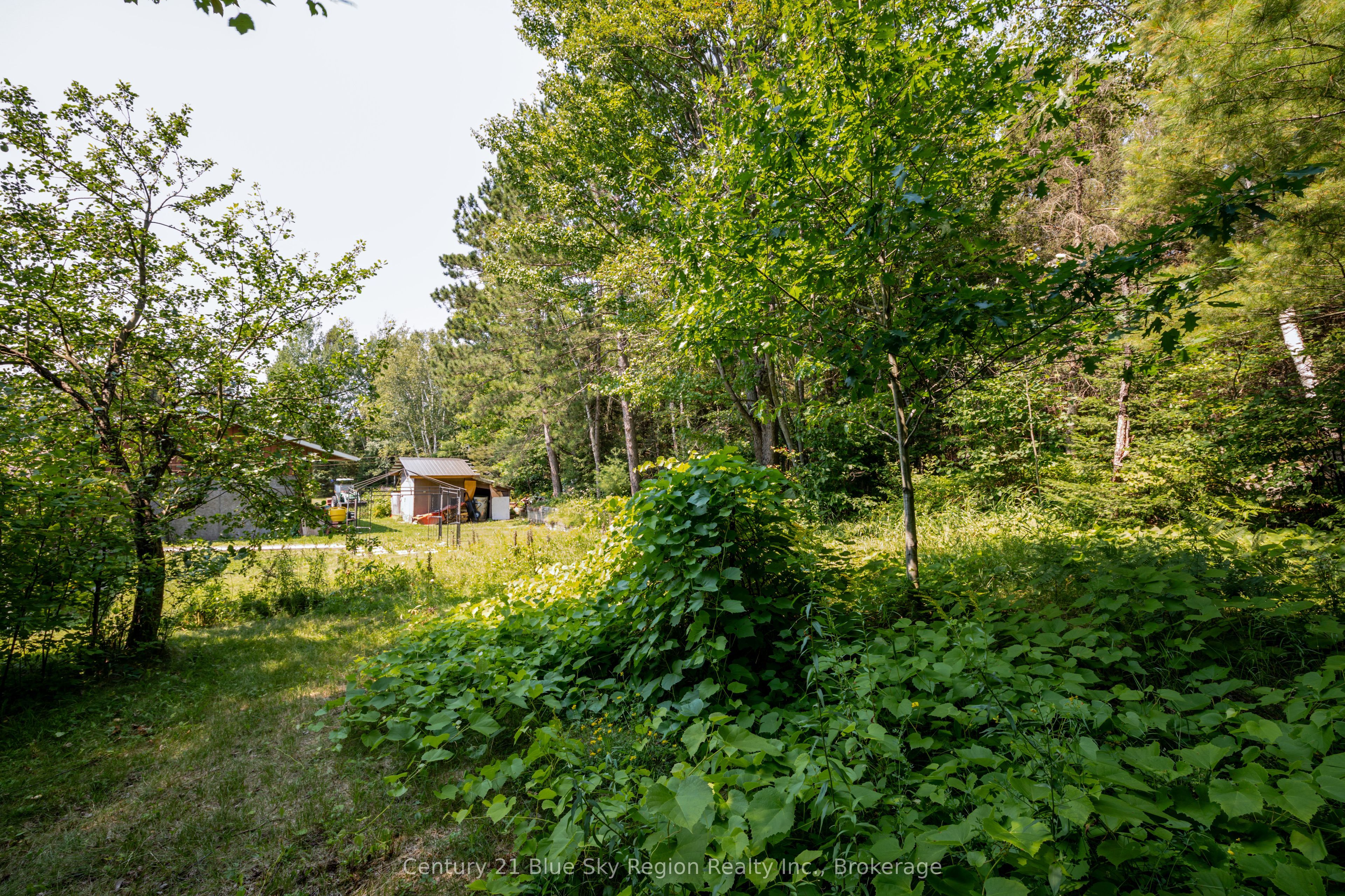 1351 Village Road Property Photo 38