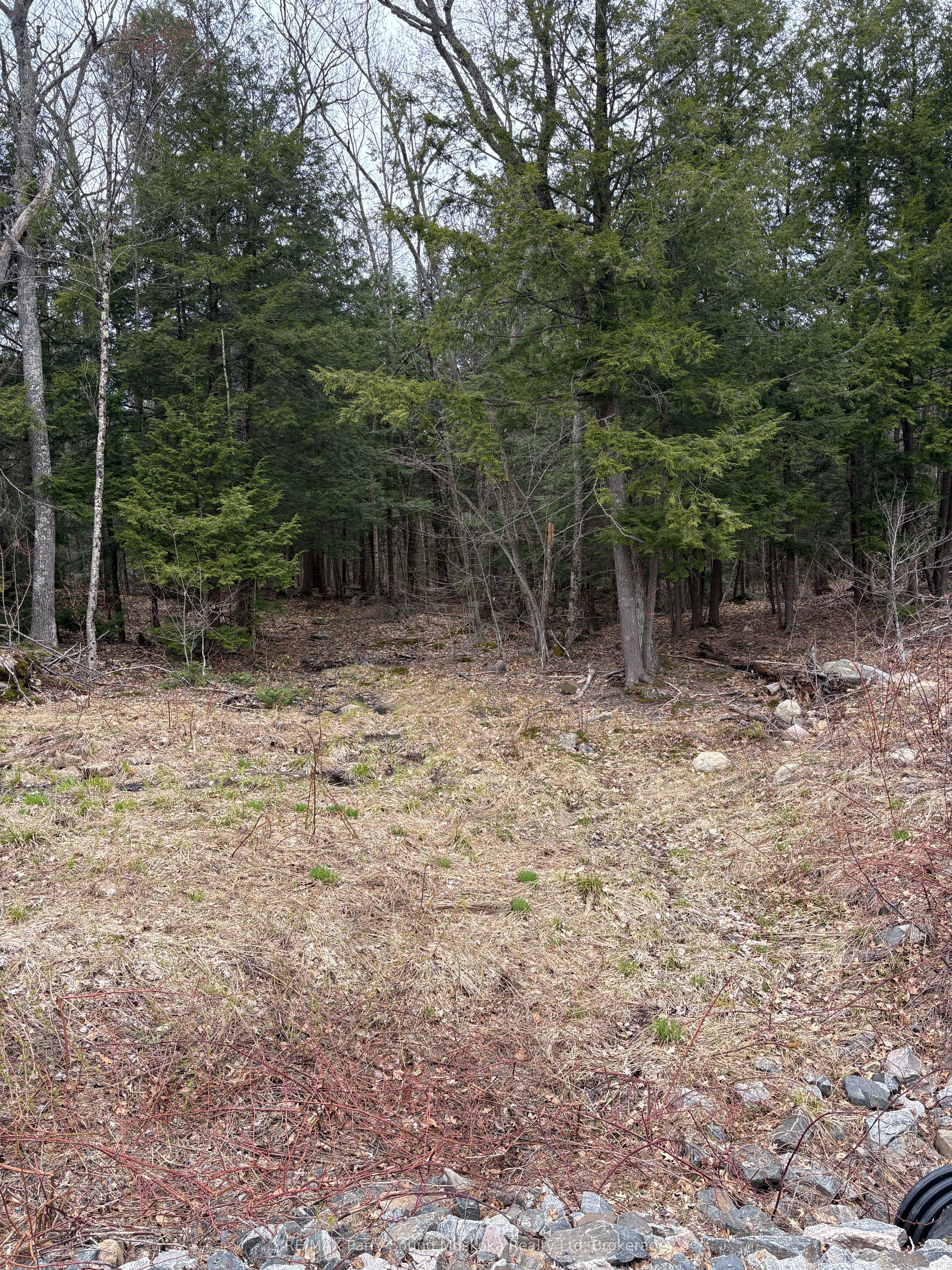 4 Wee Gee Wa Road Property Photo 20