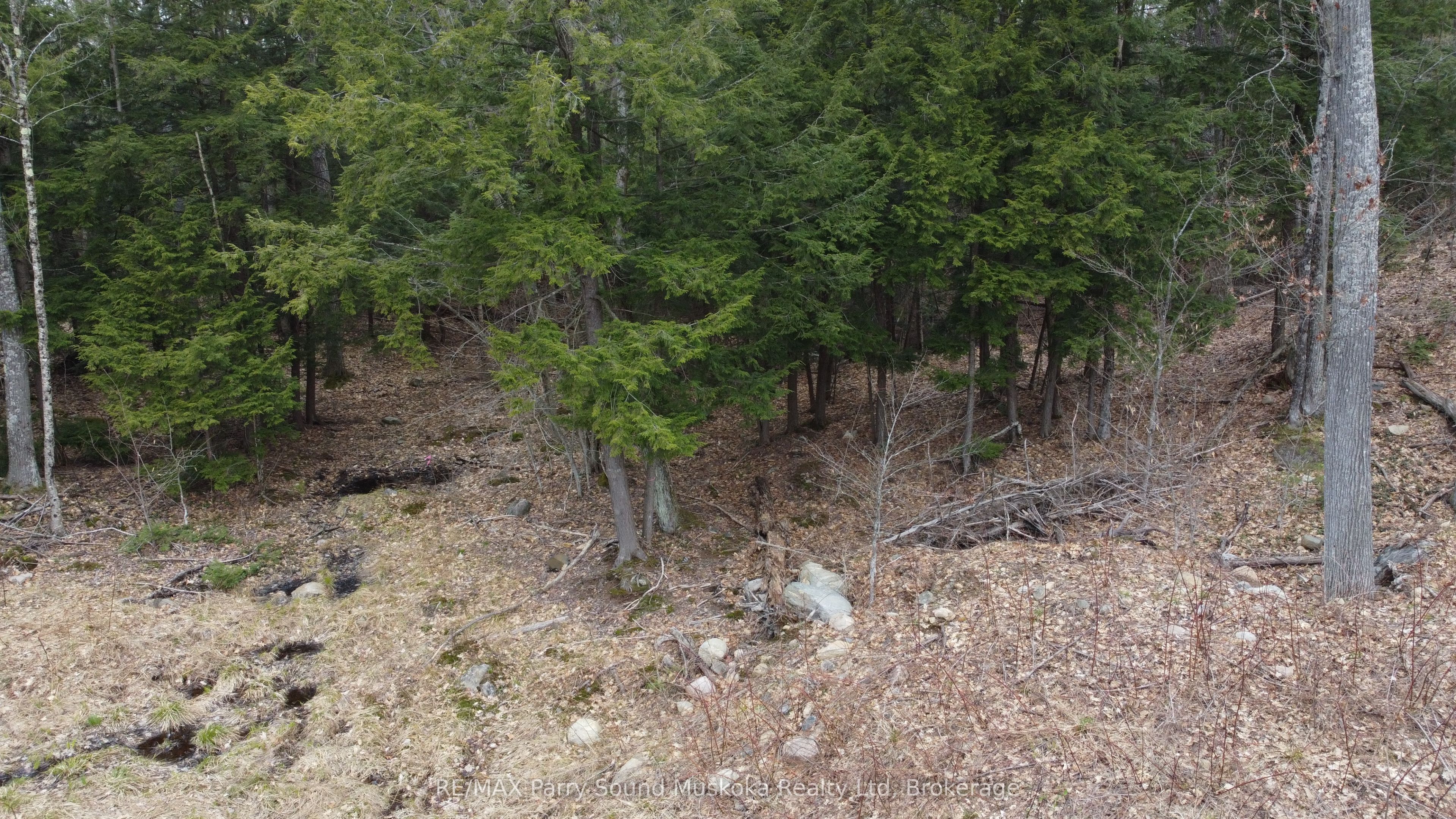 4 Wee Gee Wa Road Property Photo 31