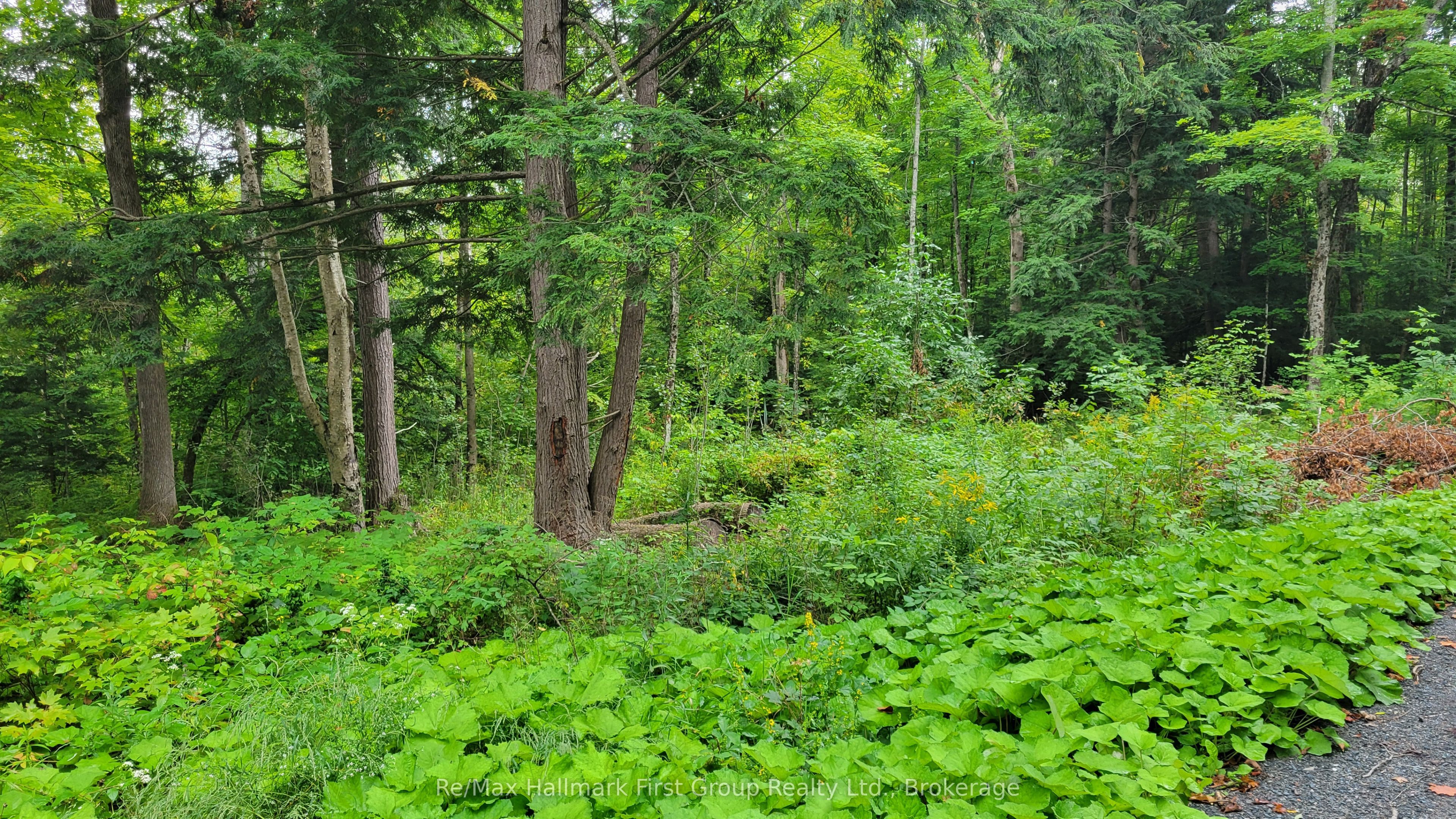 0 Black River Road N Property Photo 1