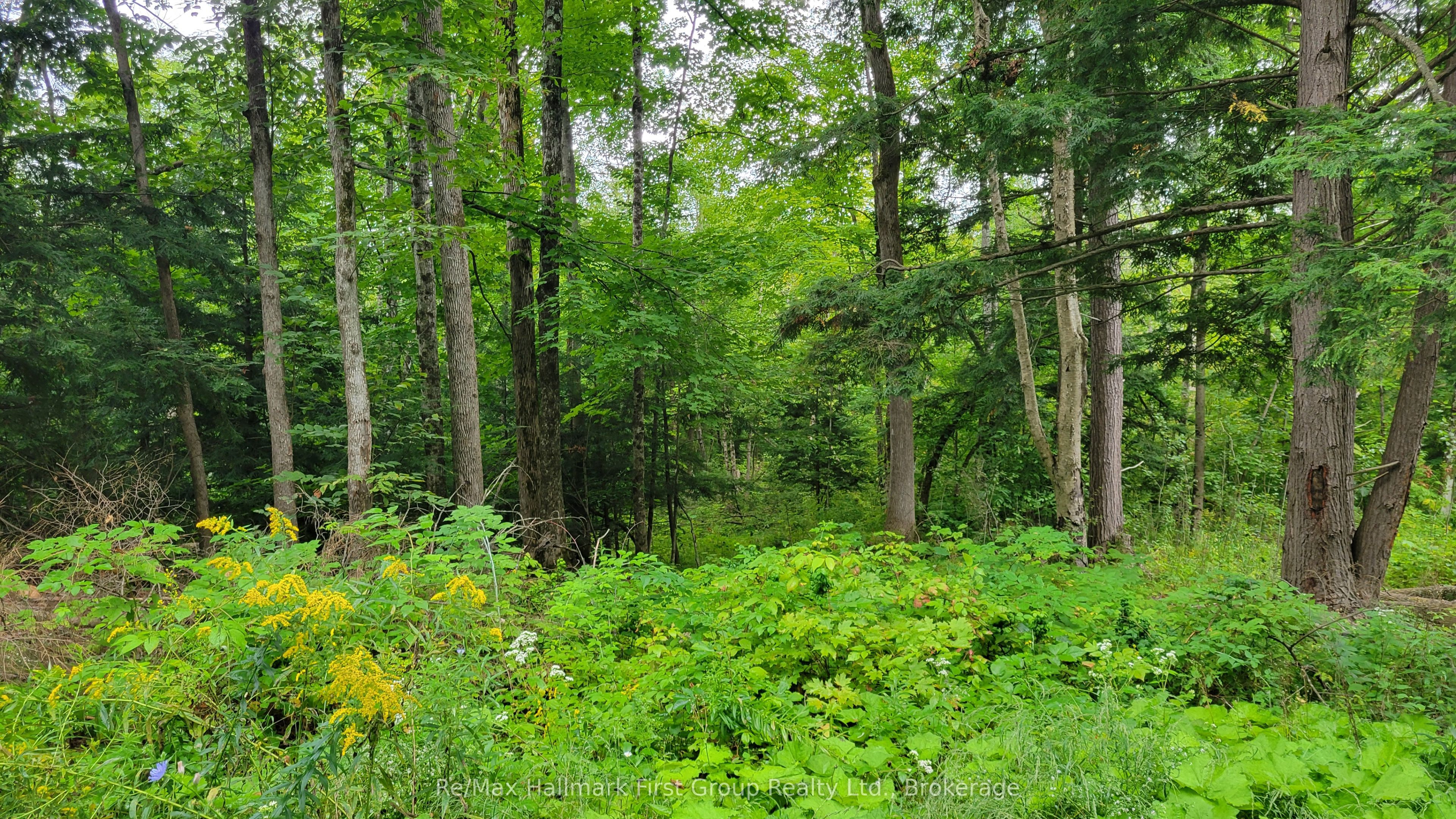 0 Black River Road N Property Photo 2