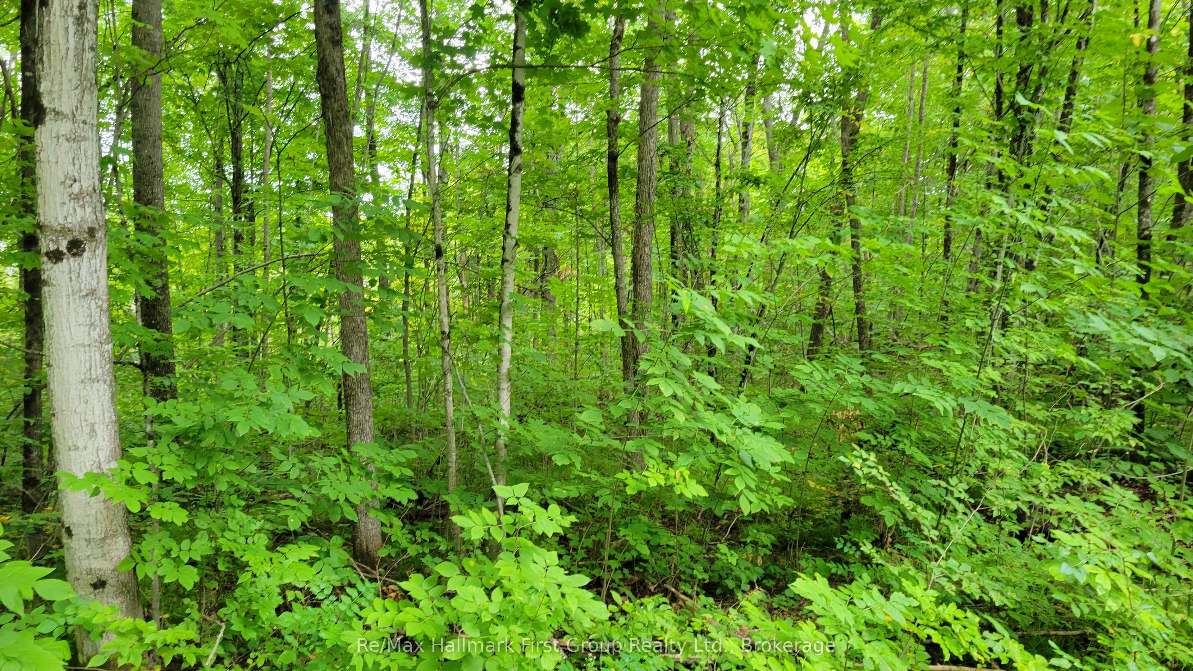 0 Black River Road N Property Photo 3