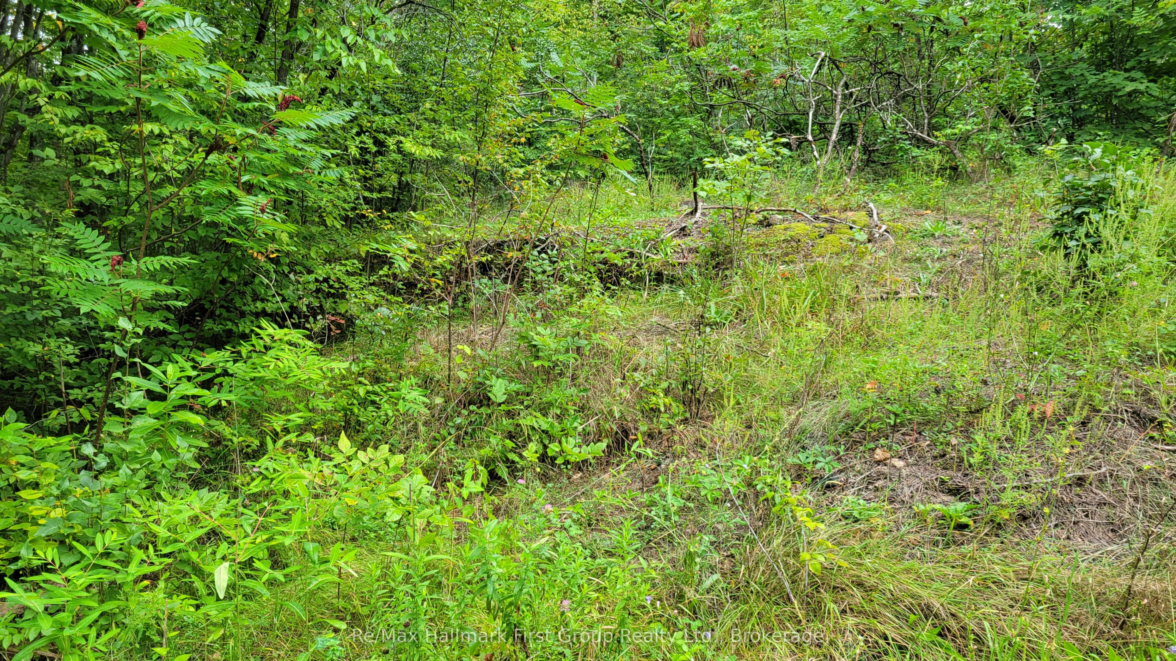 0 Black River Road N Property Photo 5
