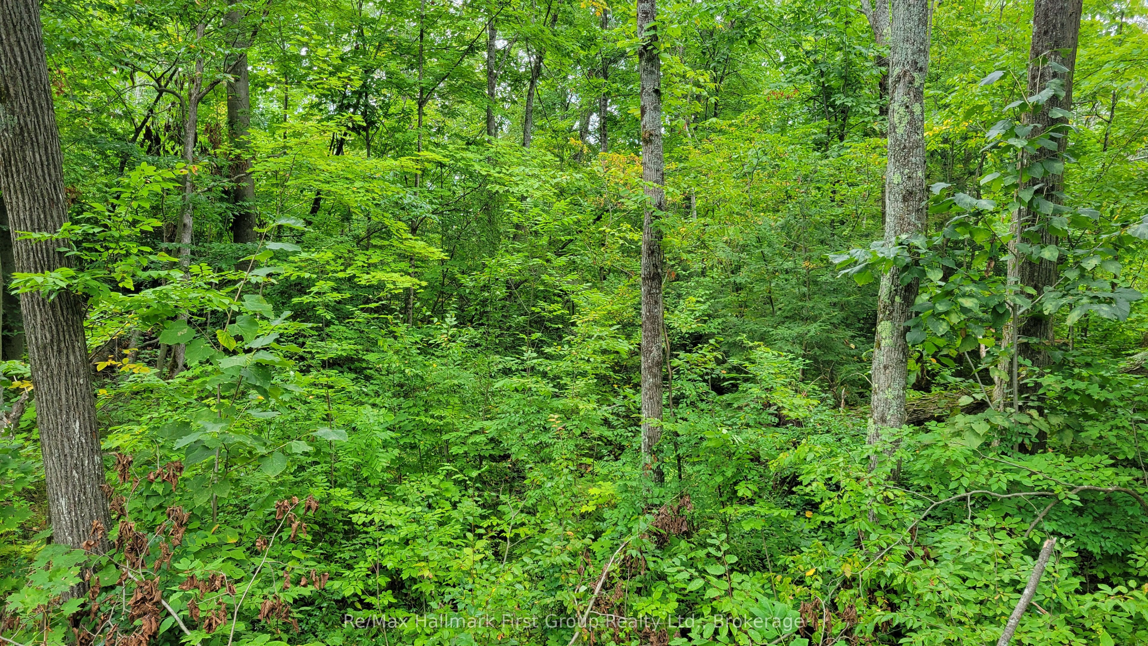 0 Black River Road N Property Photo 7