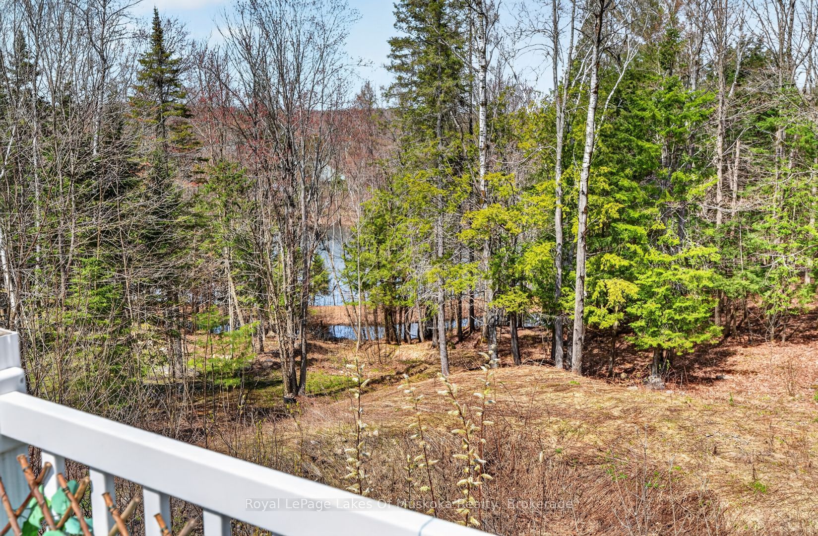 1616 Skyline Drive Property Photo 26