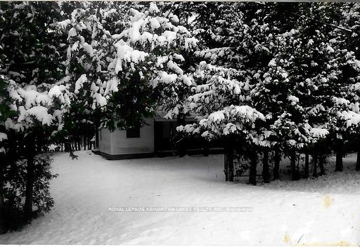 81 Mcguire Beach Road Property Photo 14