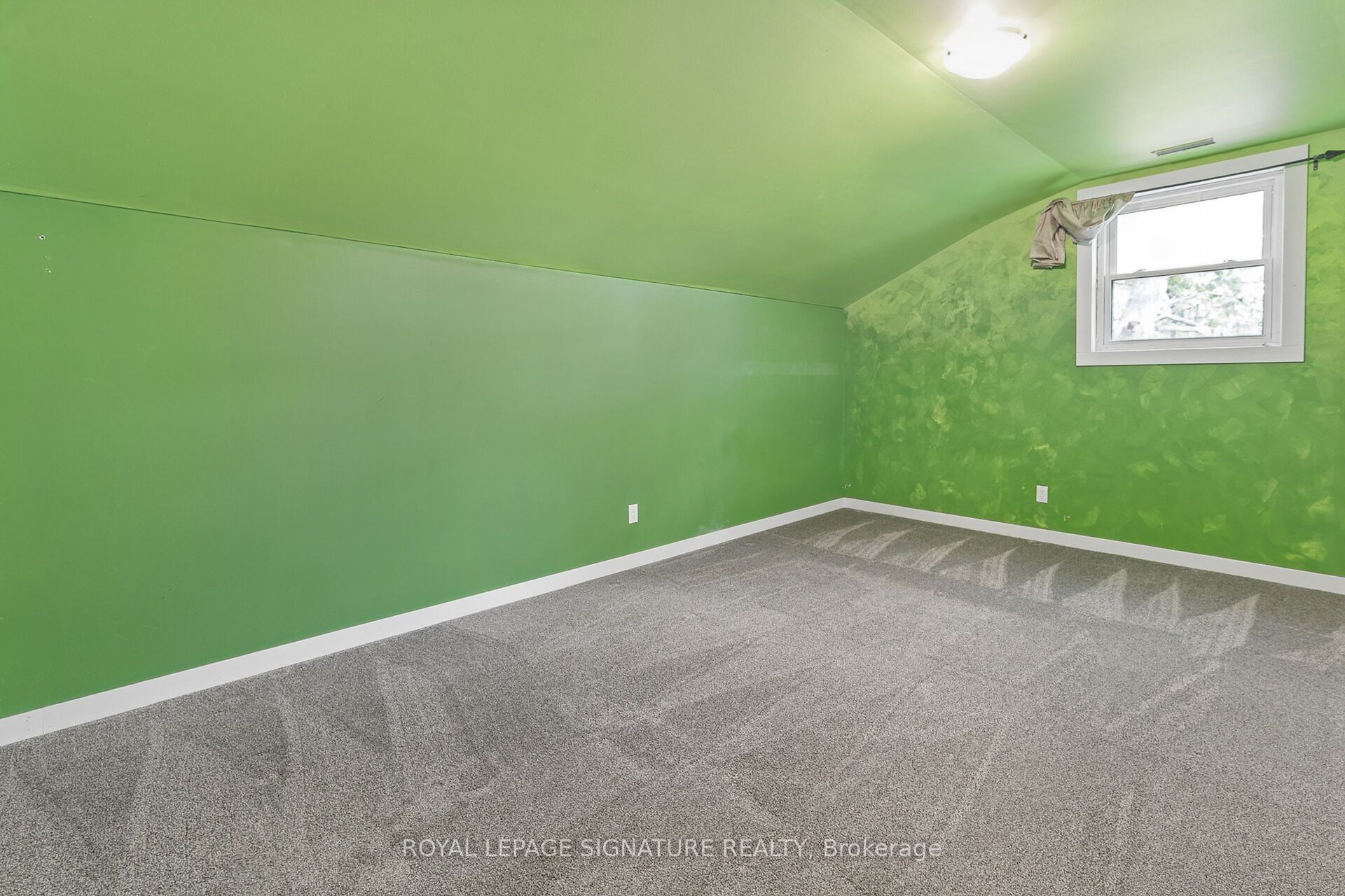 24 Davidson Street Property Photo 21