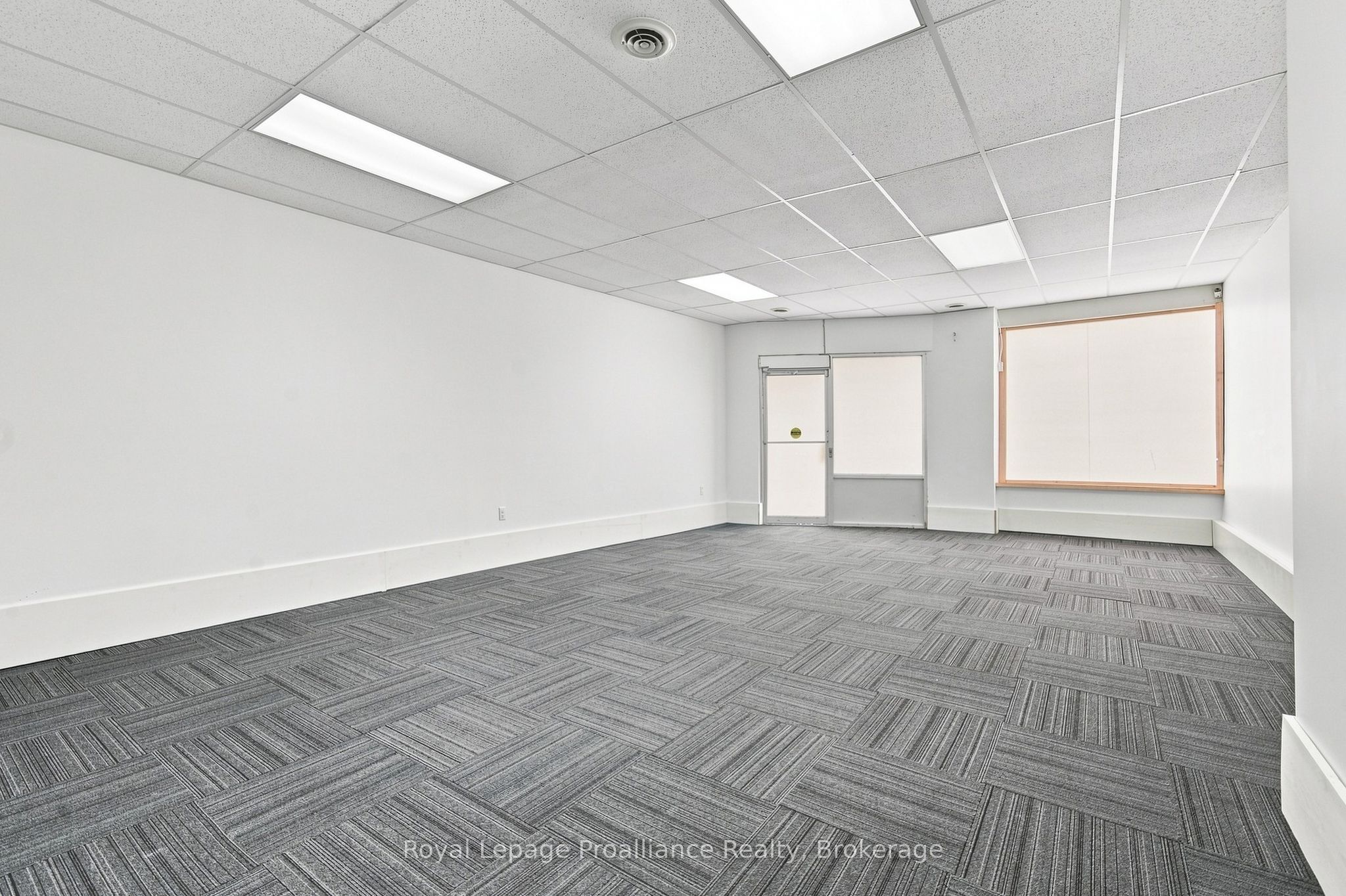 56 Elgin Street 3 Property Photo 9