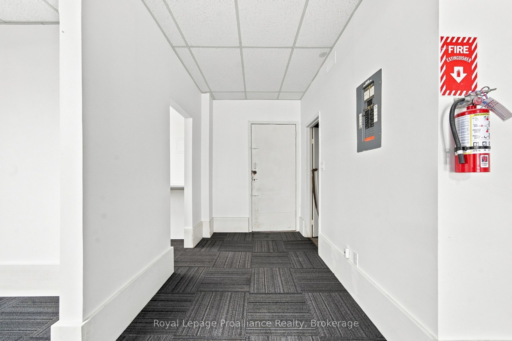 56 Elgin Street 3 Property Photo 15
