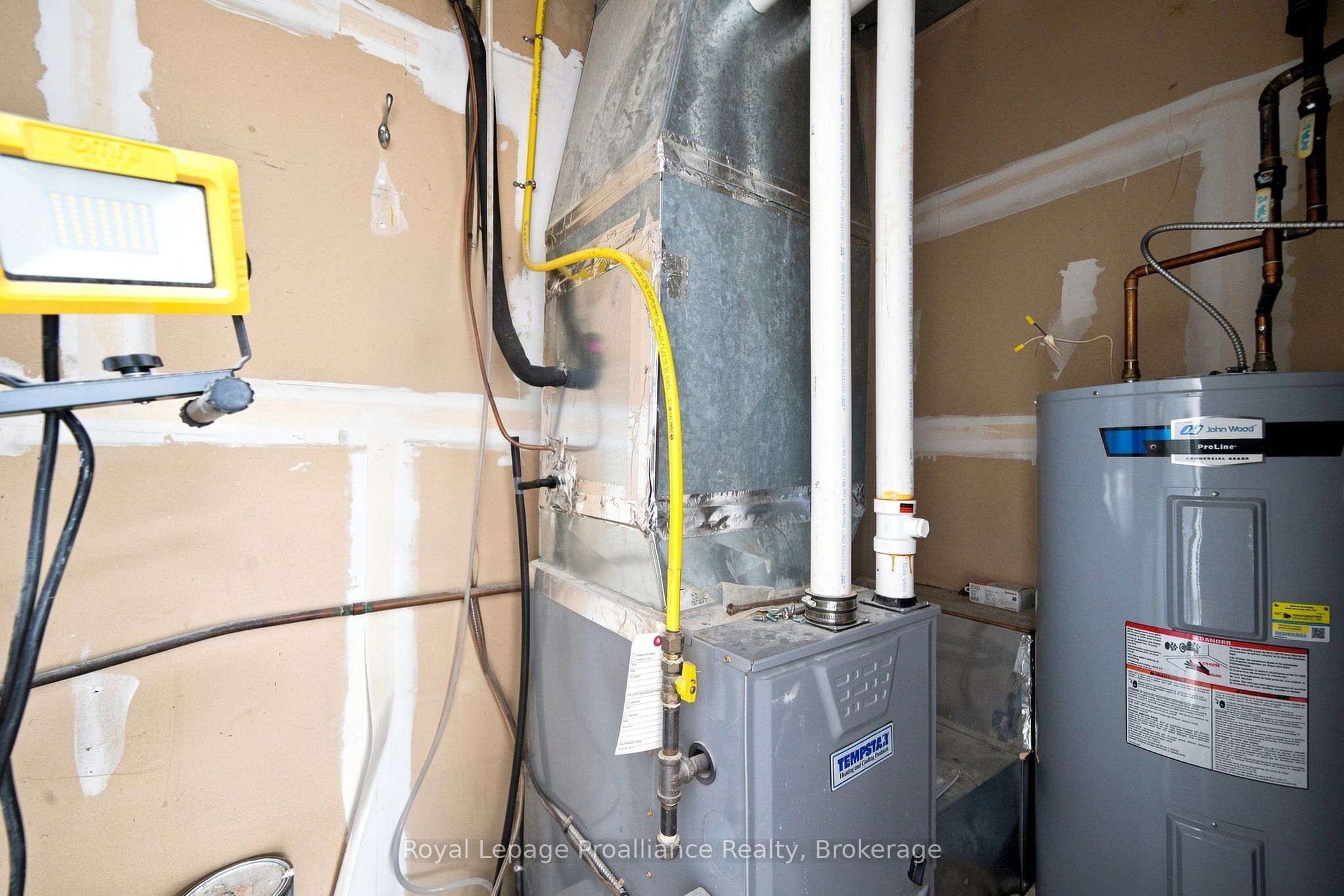 56 Elgin Street 3 Property Photo 18