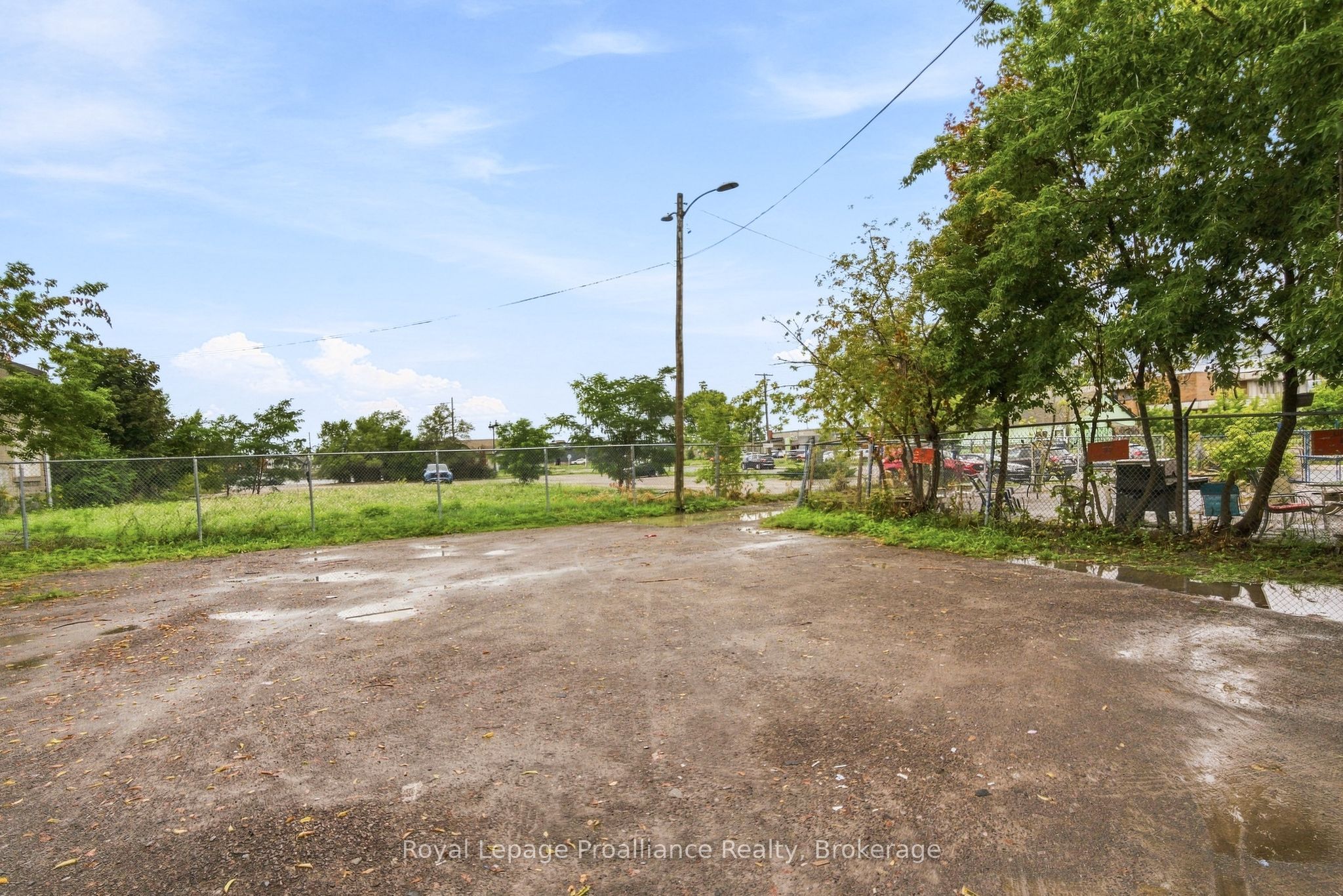 56 Elgin Street 3 Property Photo 19