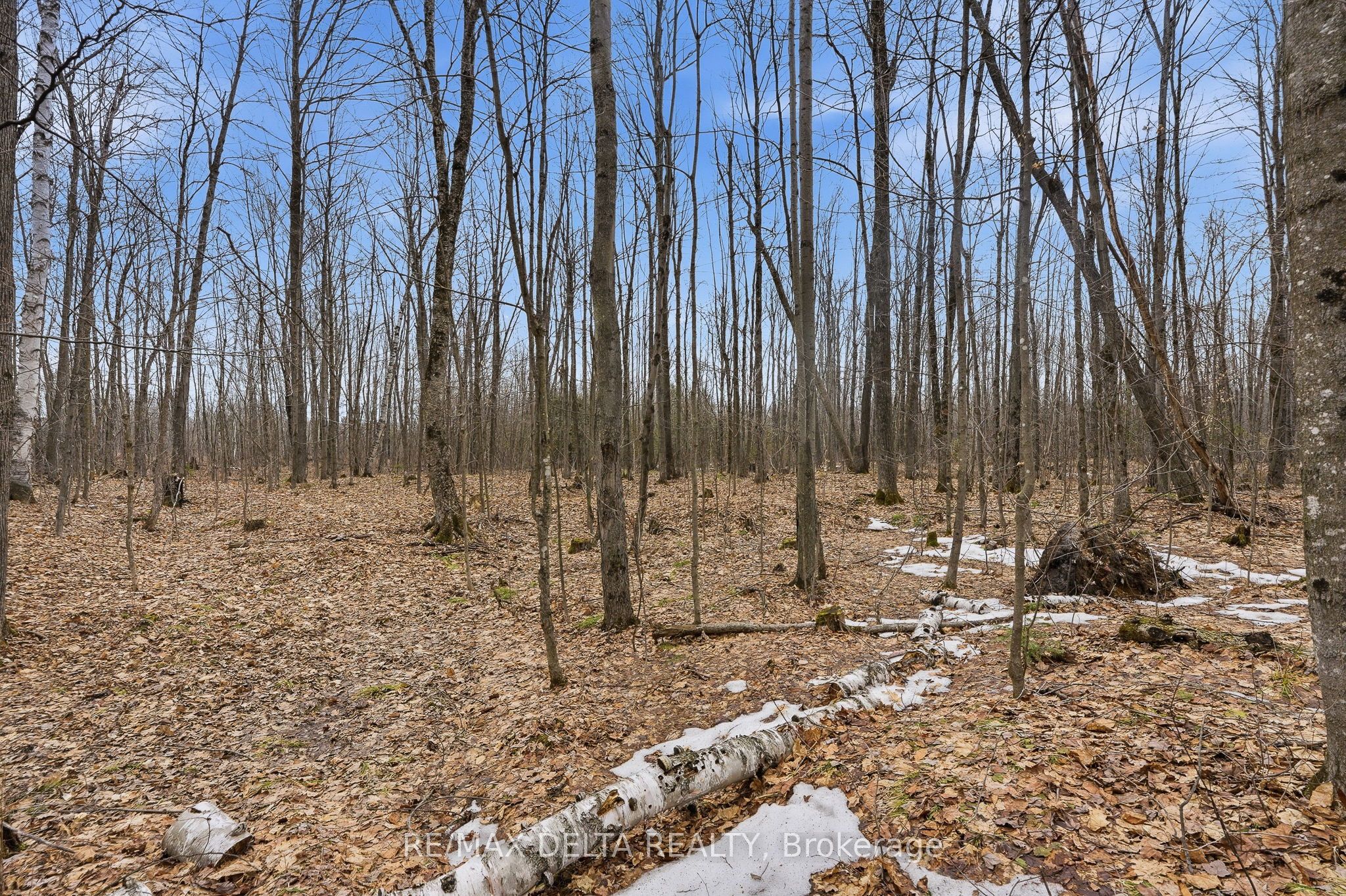 00 Part Of Lot 11 Gagne Road Property Photo 13