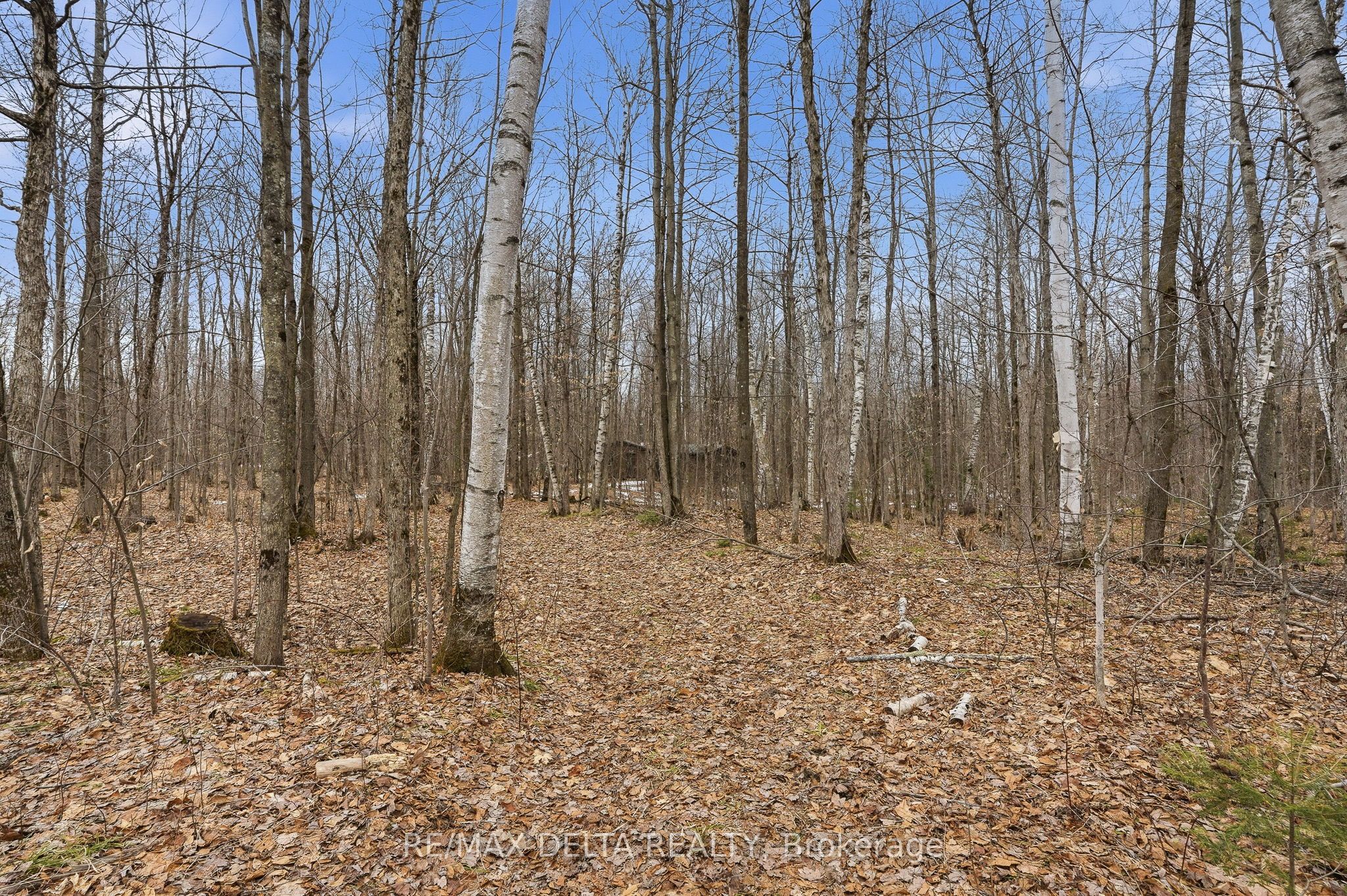 00 Part Of Lot 11 Gagne Road Property Photo 14