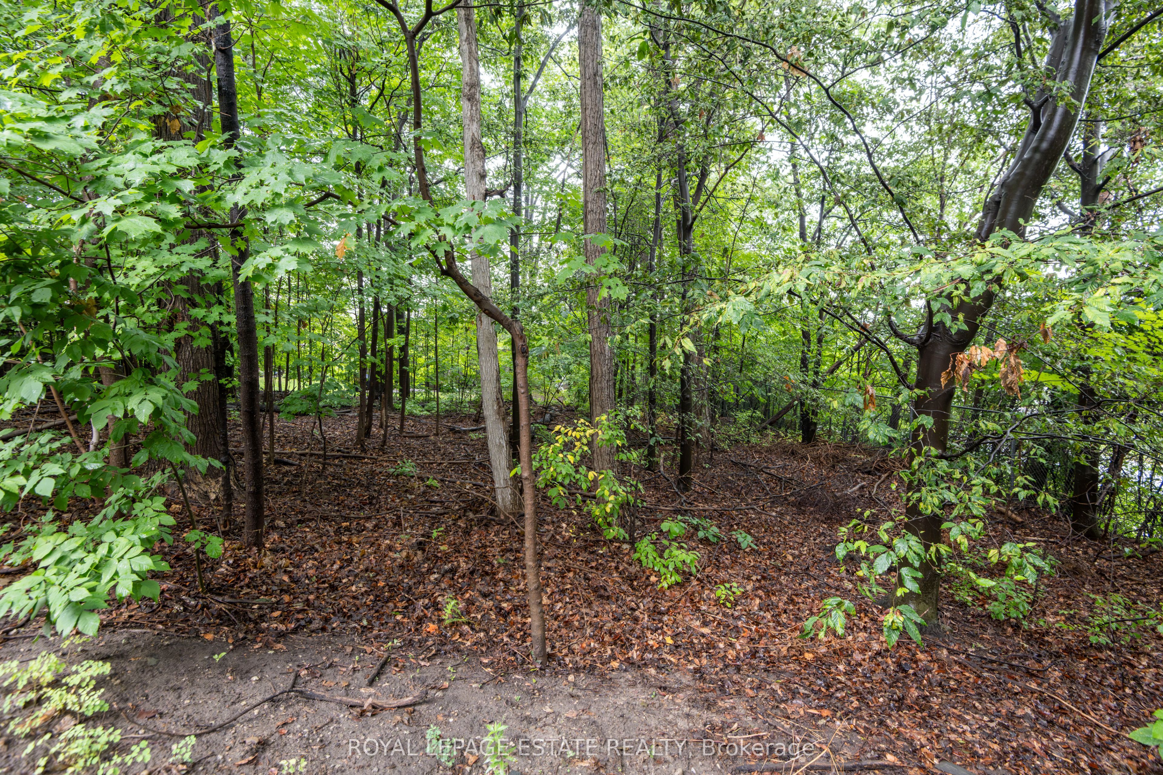 228 Kingswood Drive 3 Property Photo 38