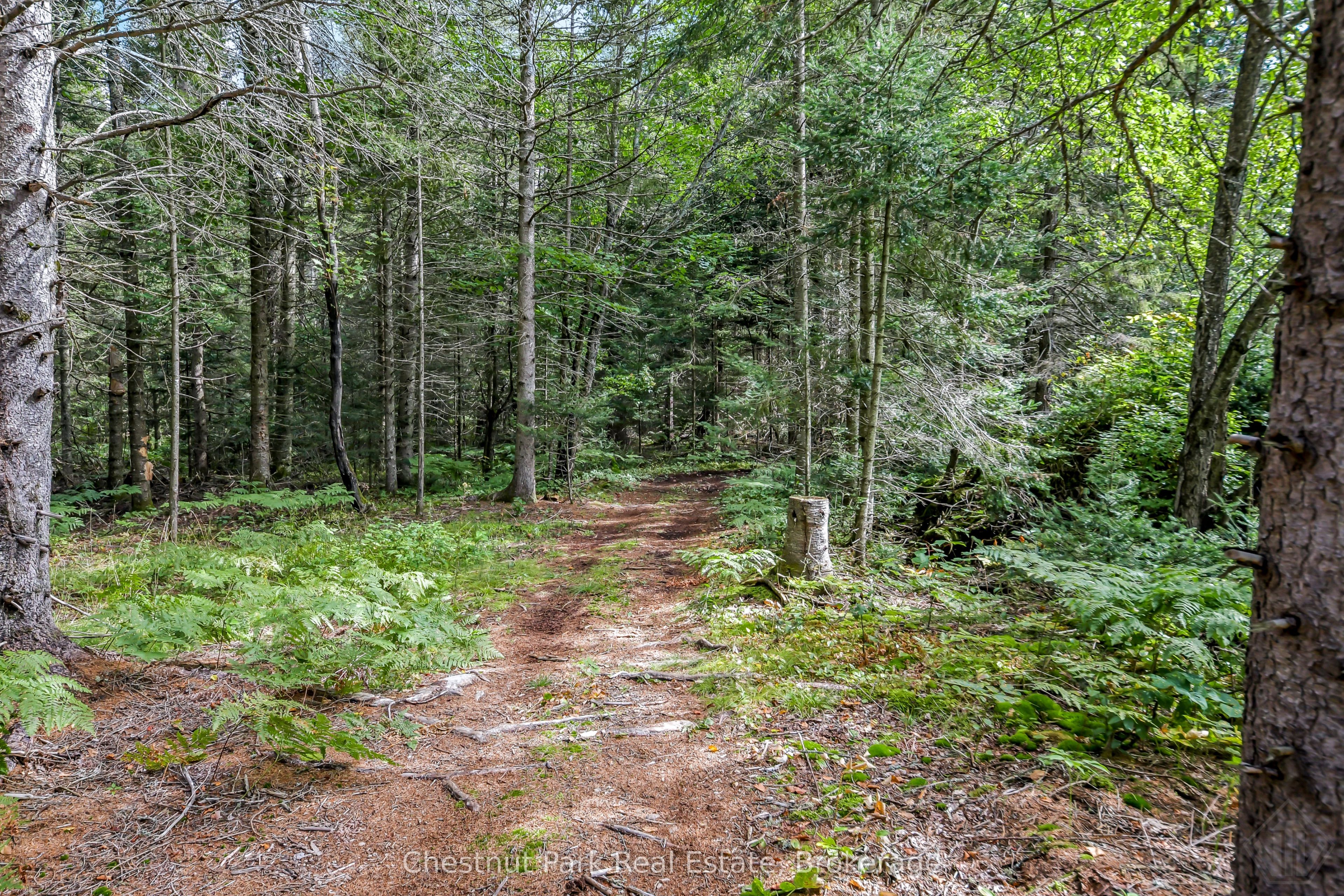 336 Rain Lake Road Property Photo 36