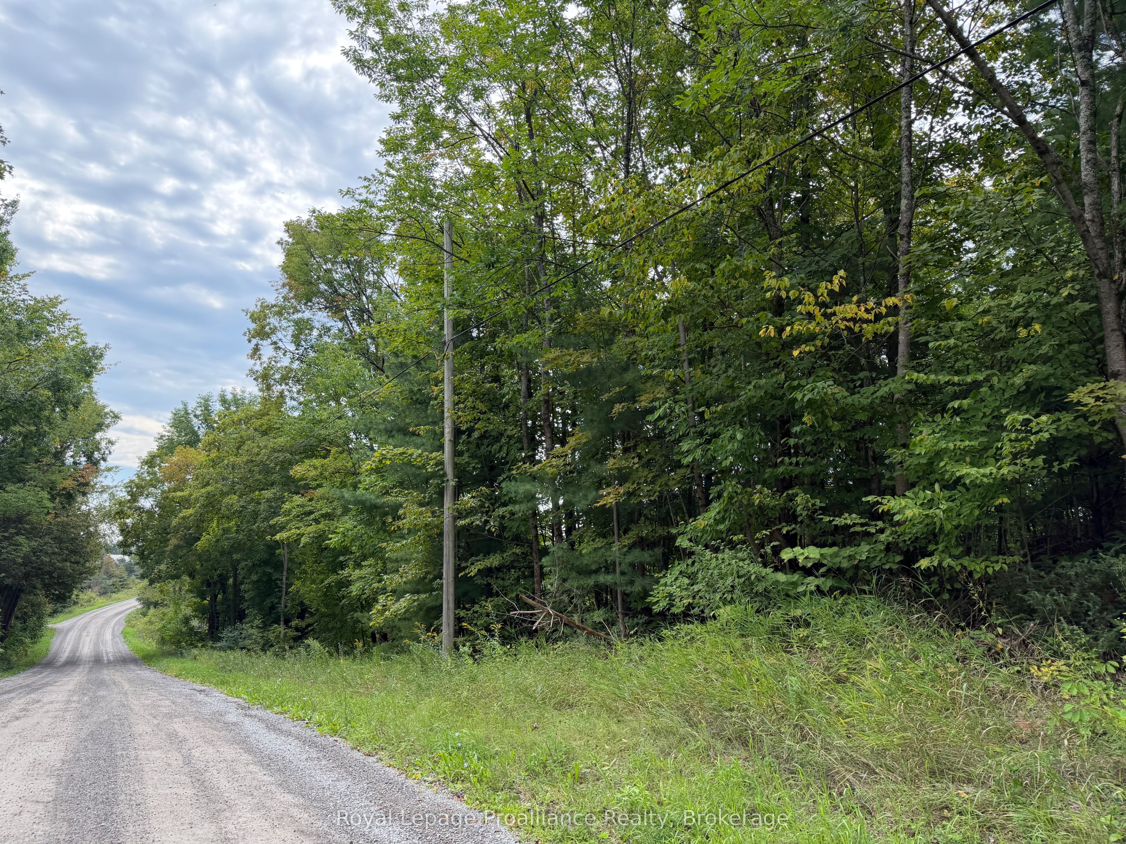 0 Twin Sisters Lake Road Property Photo 2