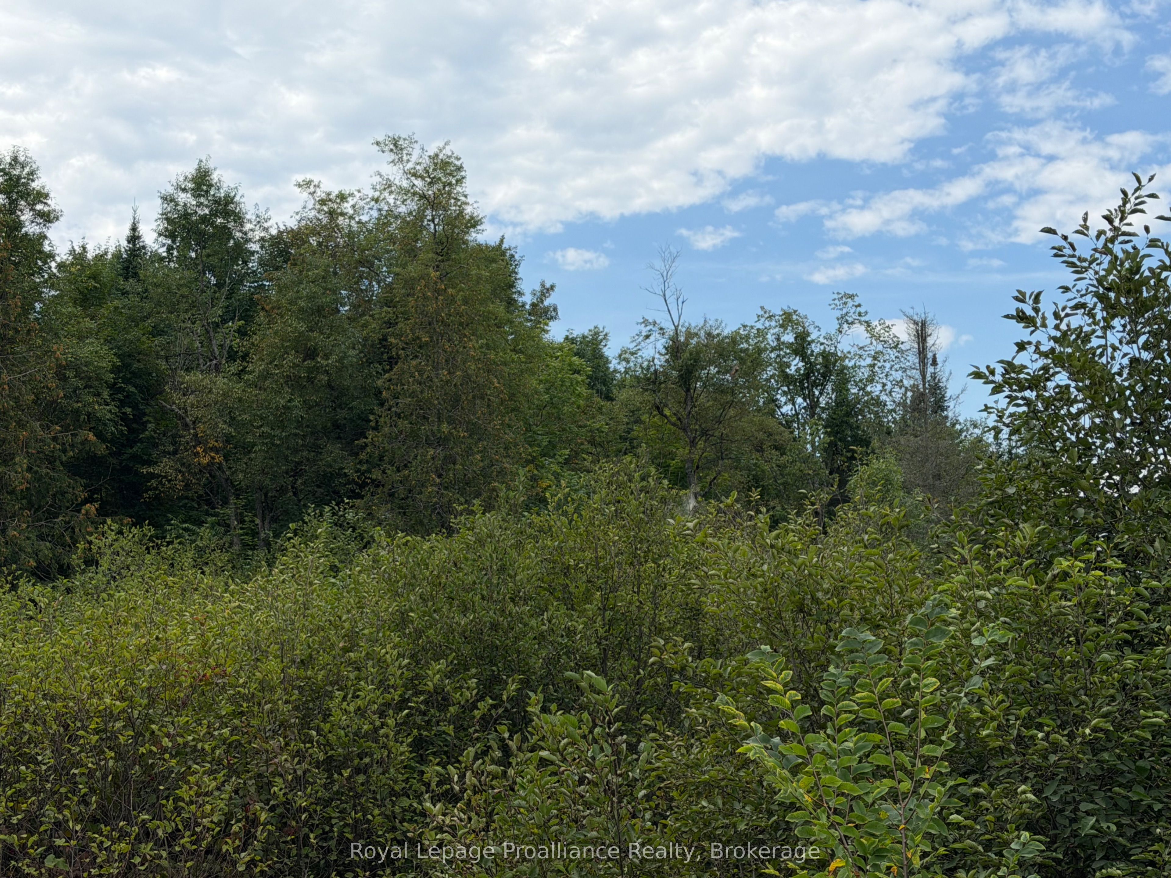 0 Twin Sisters Lake Road Property Photo 6