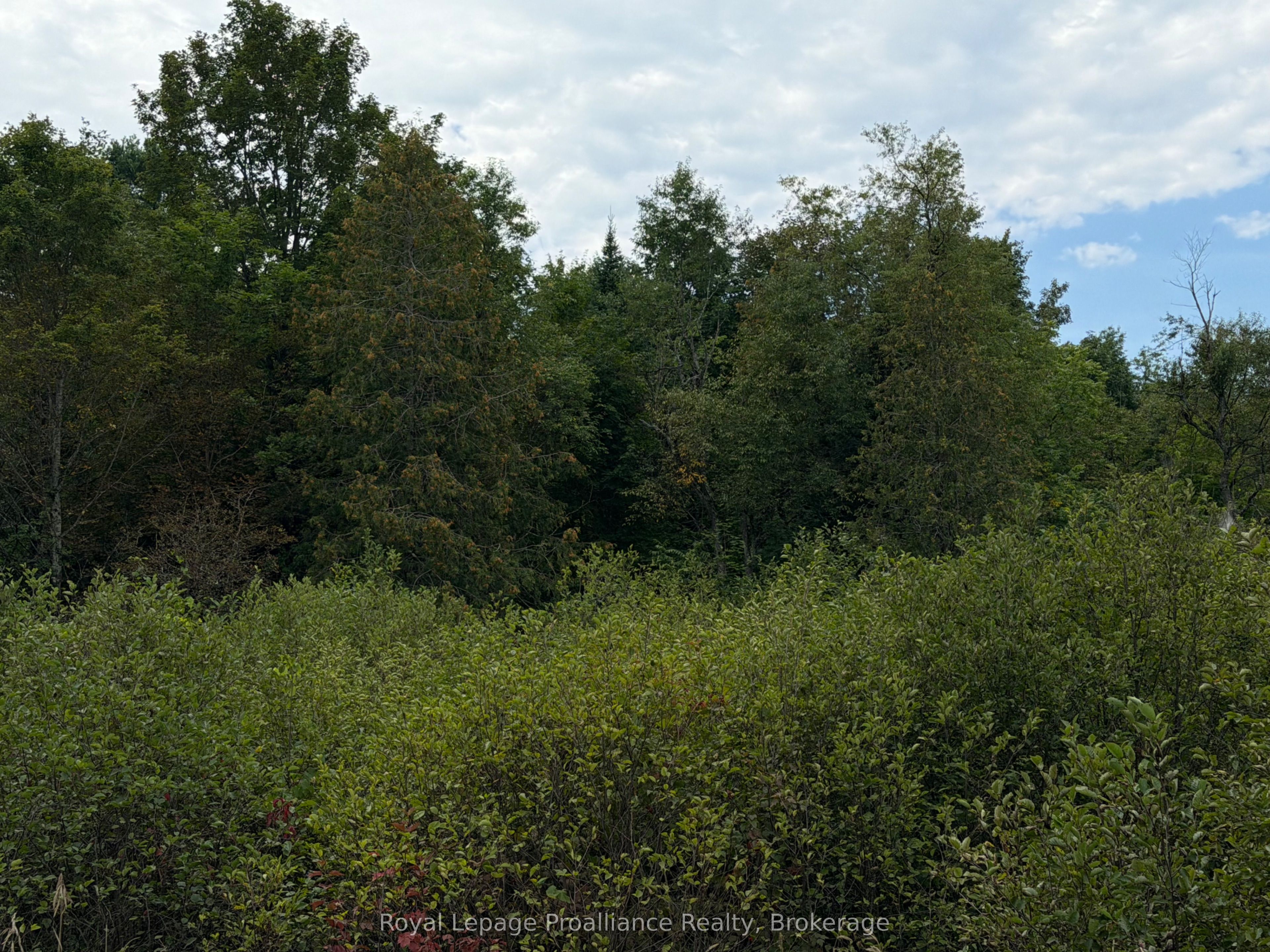 0 Twin Sisters Lake Road Property Photo 8