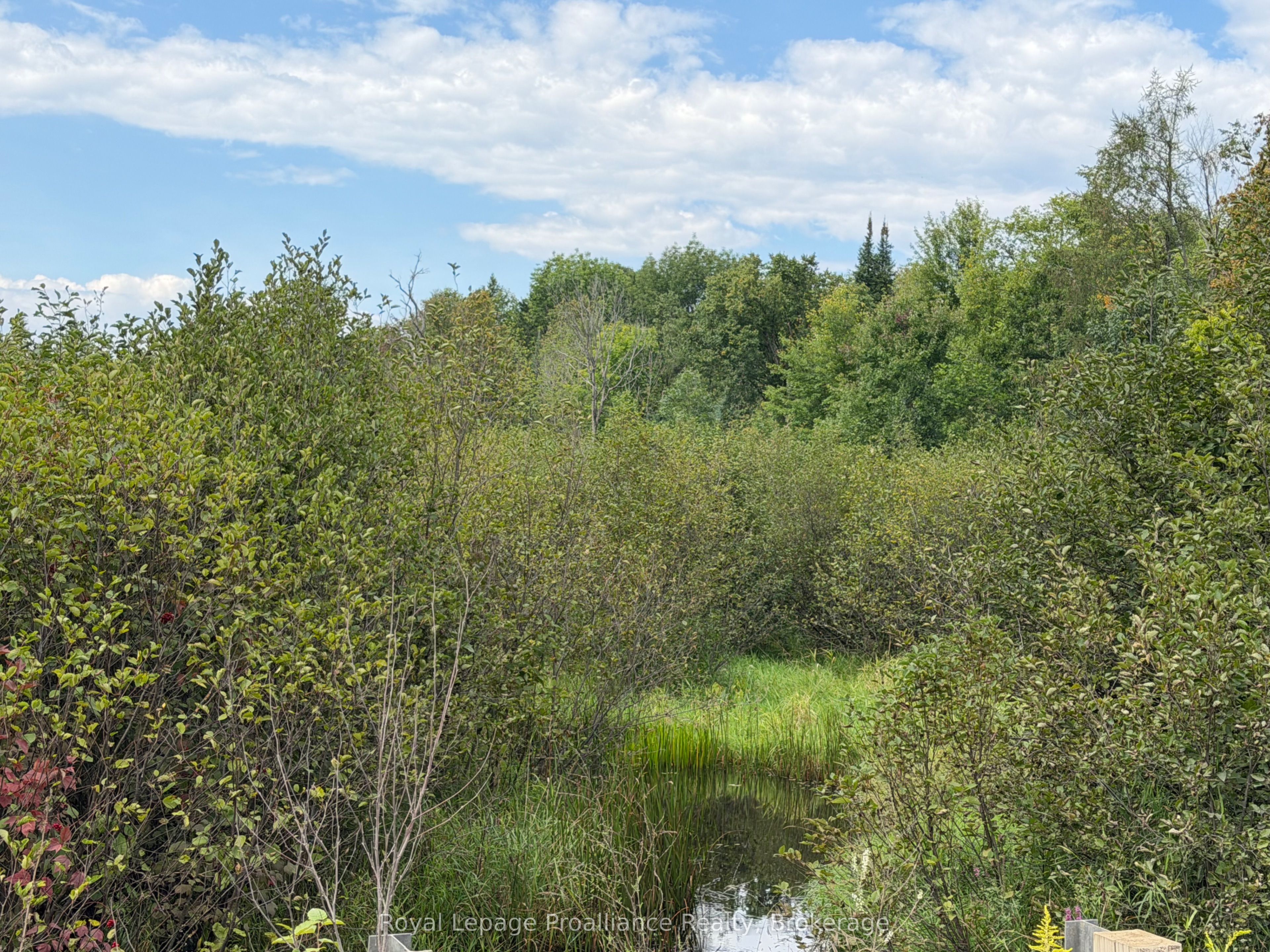 0 Twin Sisters Lake Road Property Photo 9