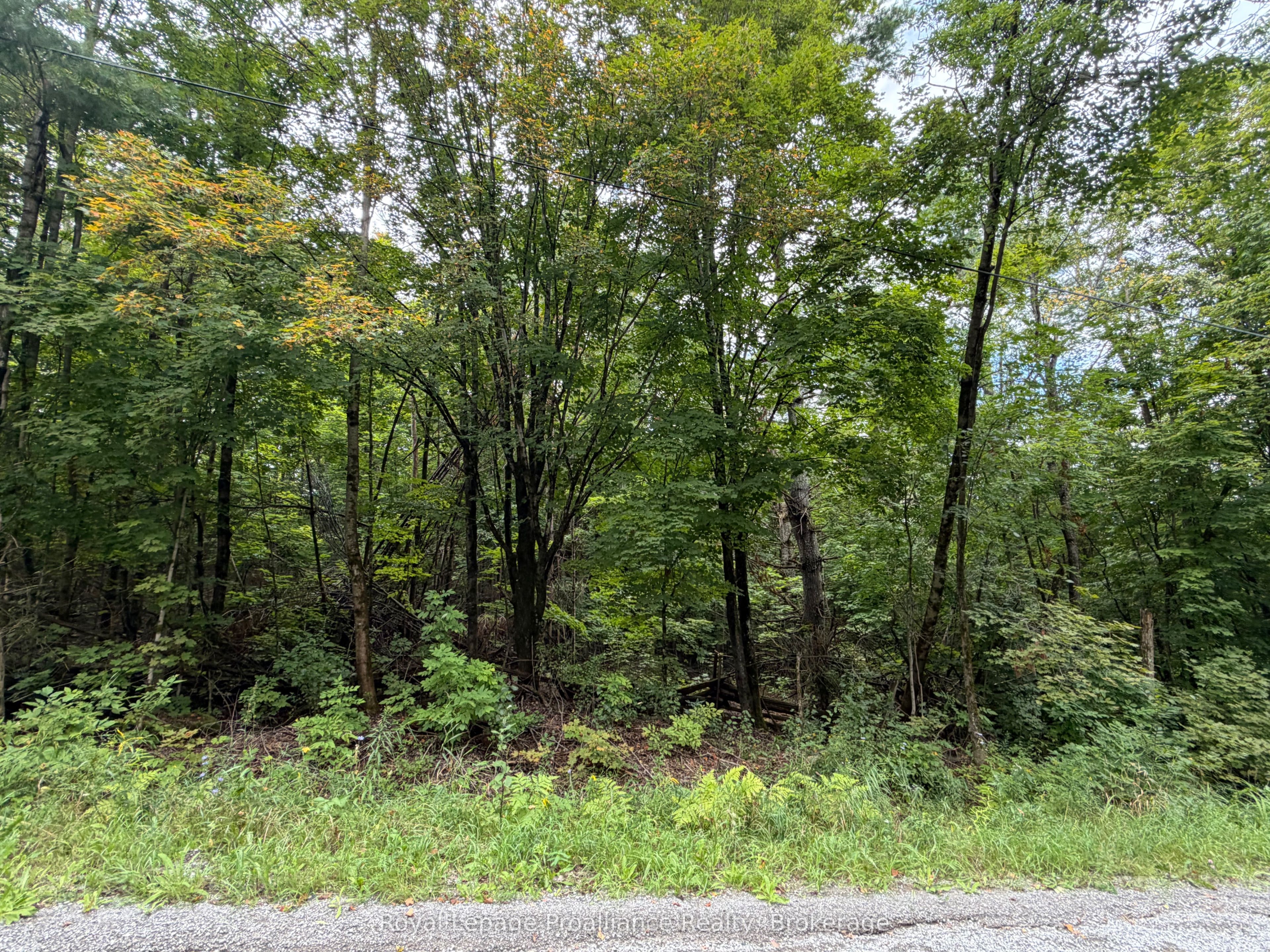 0 Twin Sisters Lake Road Property Photo 12