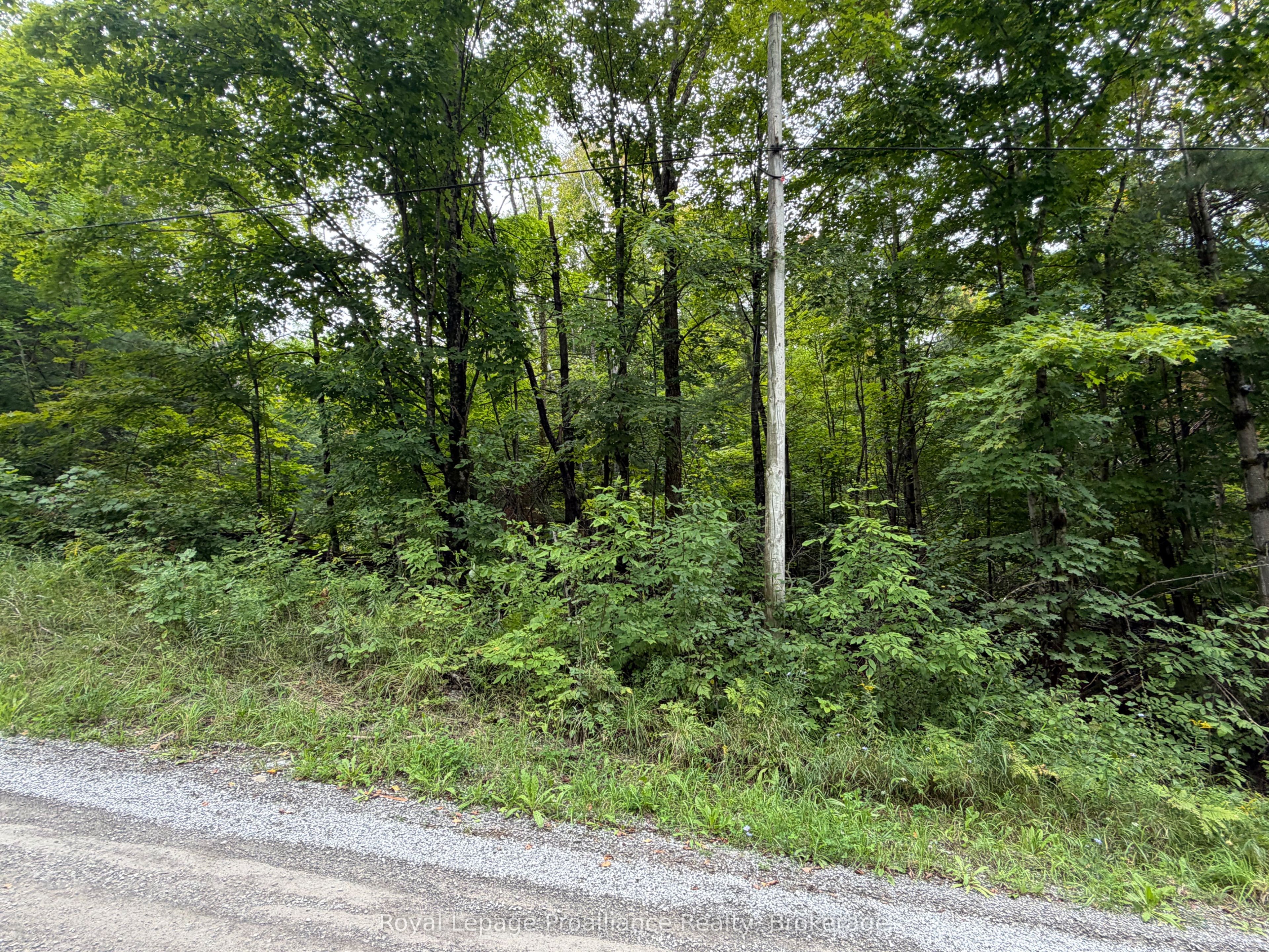 0 Twin Sisters Lake Road Property Photo 13