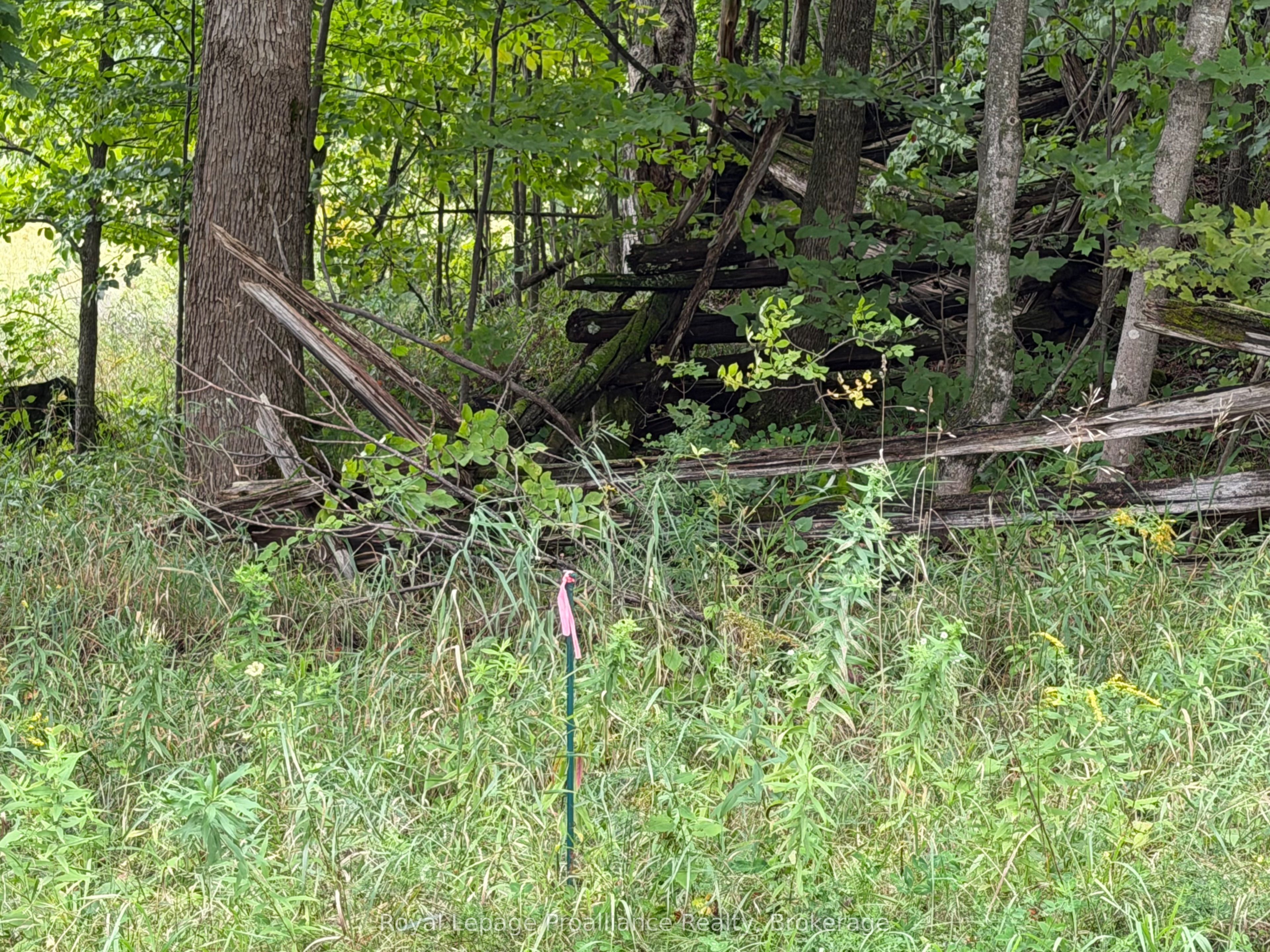 0 Twin Sisters Lake Road Property Photo 14