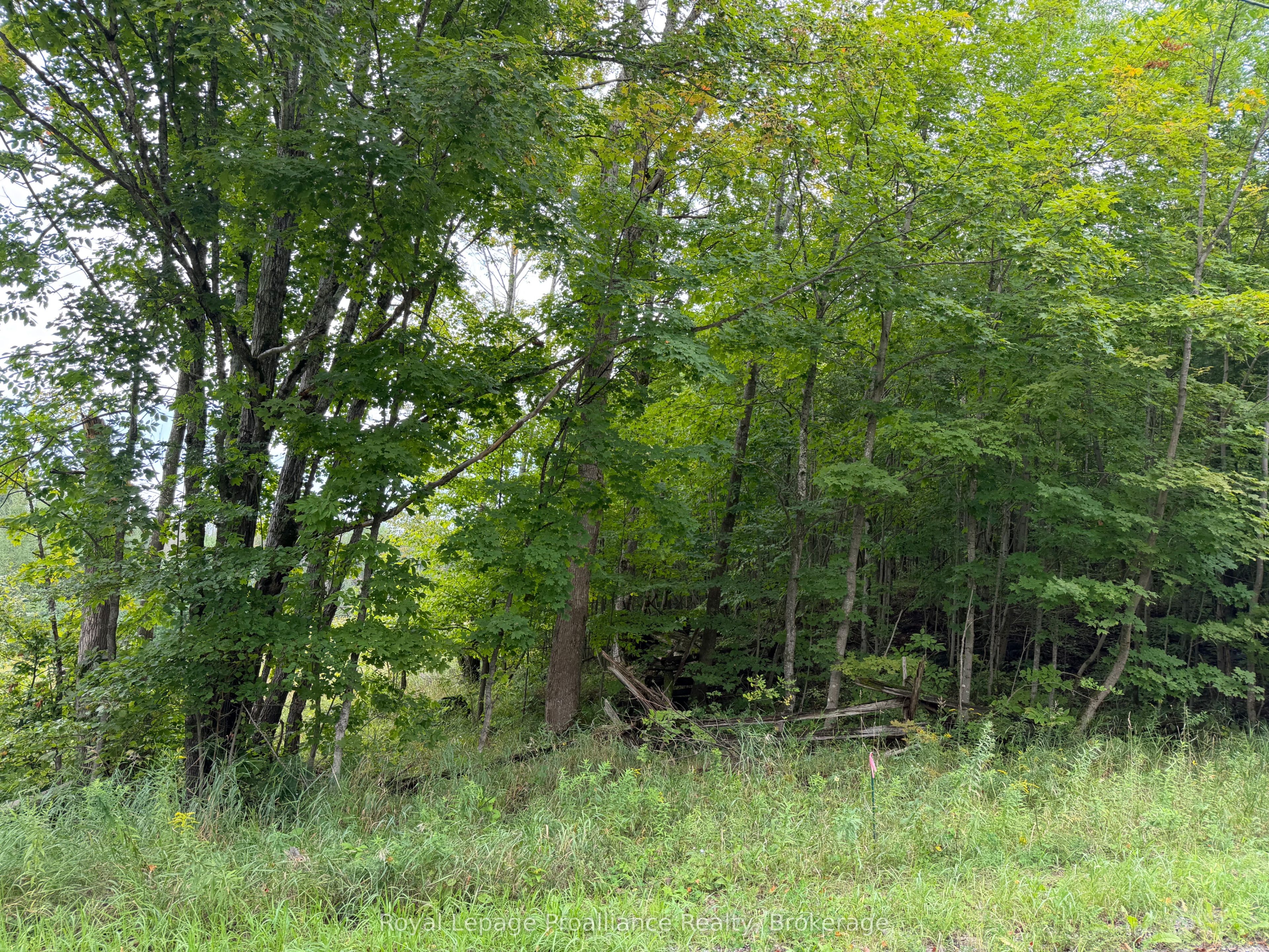 0 Twin Sisters Lake Road Property Photo 16