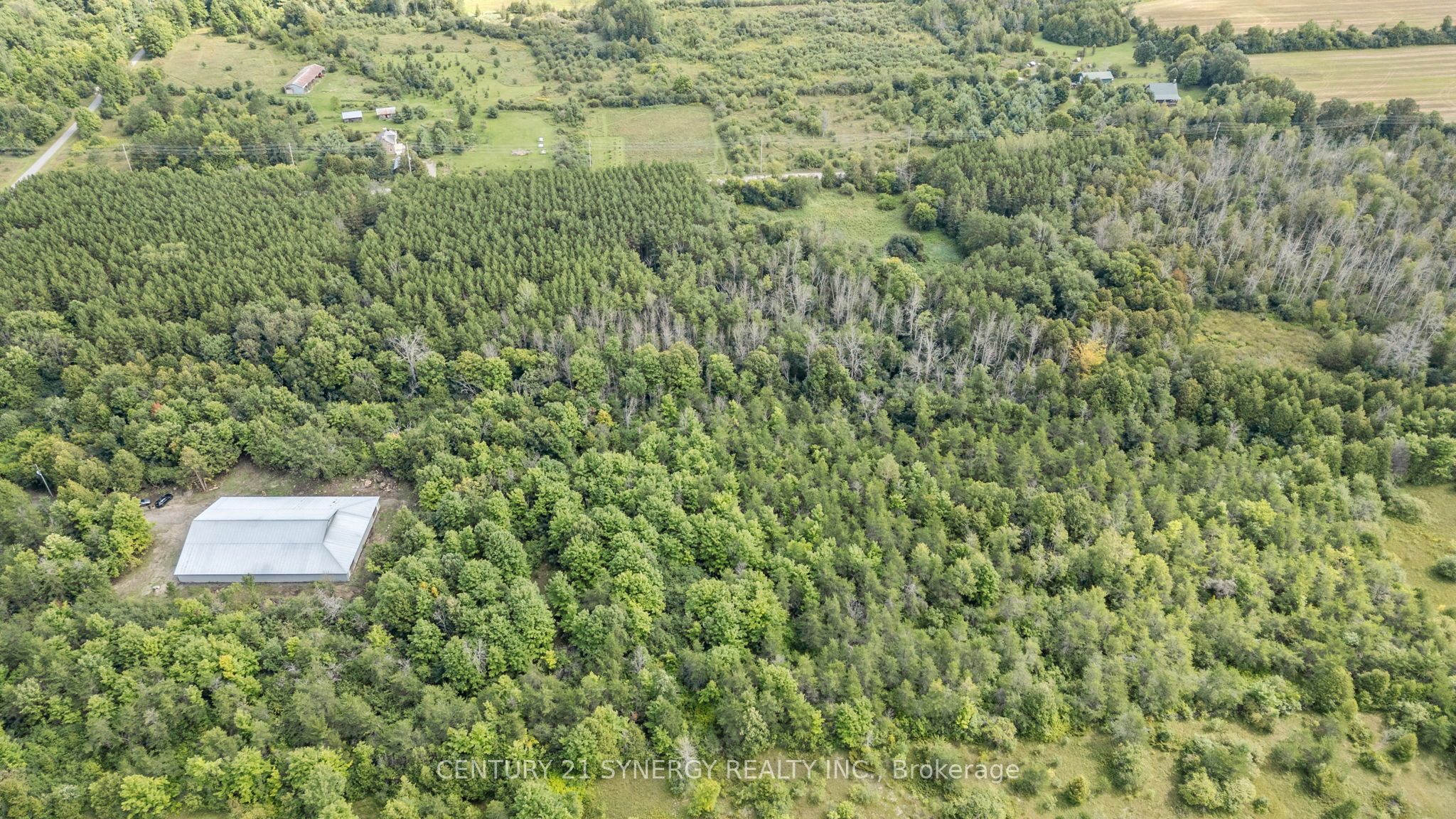 000 Drummond Concession Property Photo 5