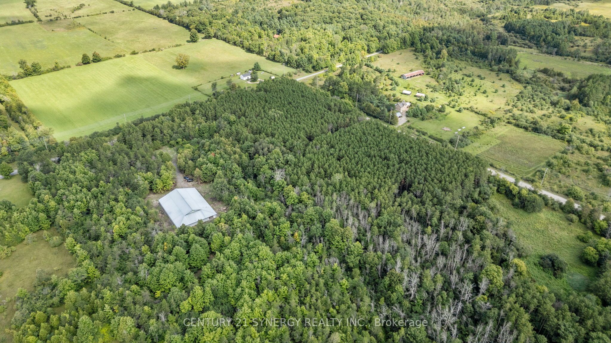 000 Drummond Concession Property Photo 6