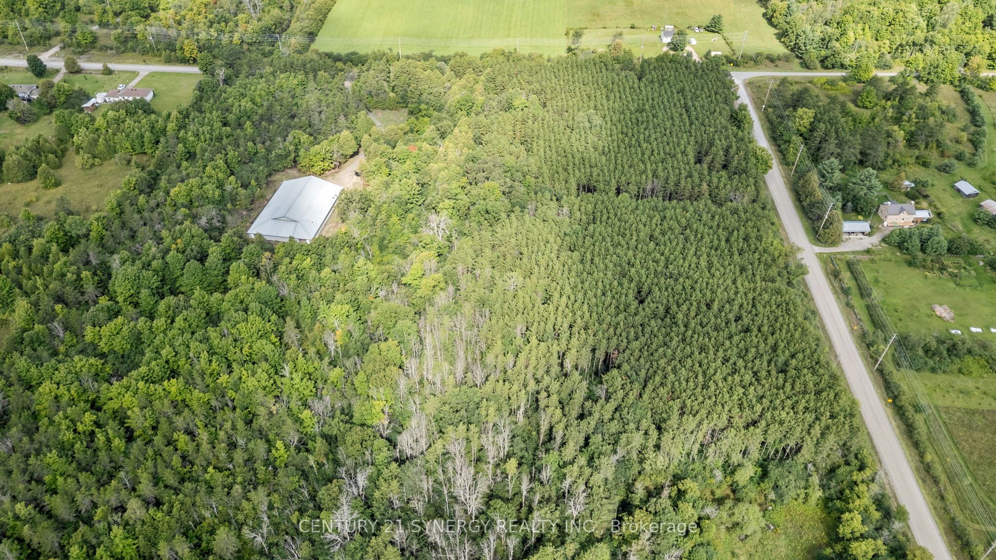000 Drummond Concession Property Photo 7