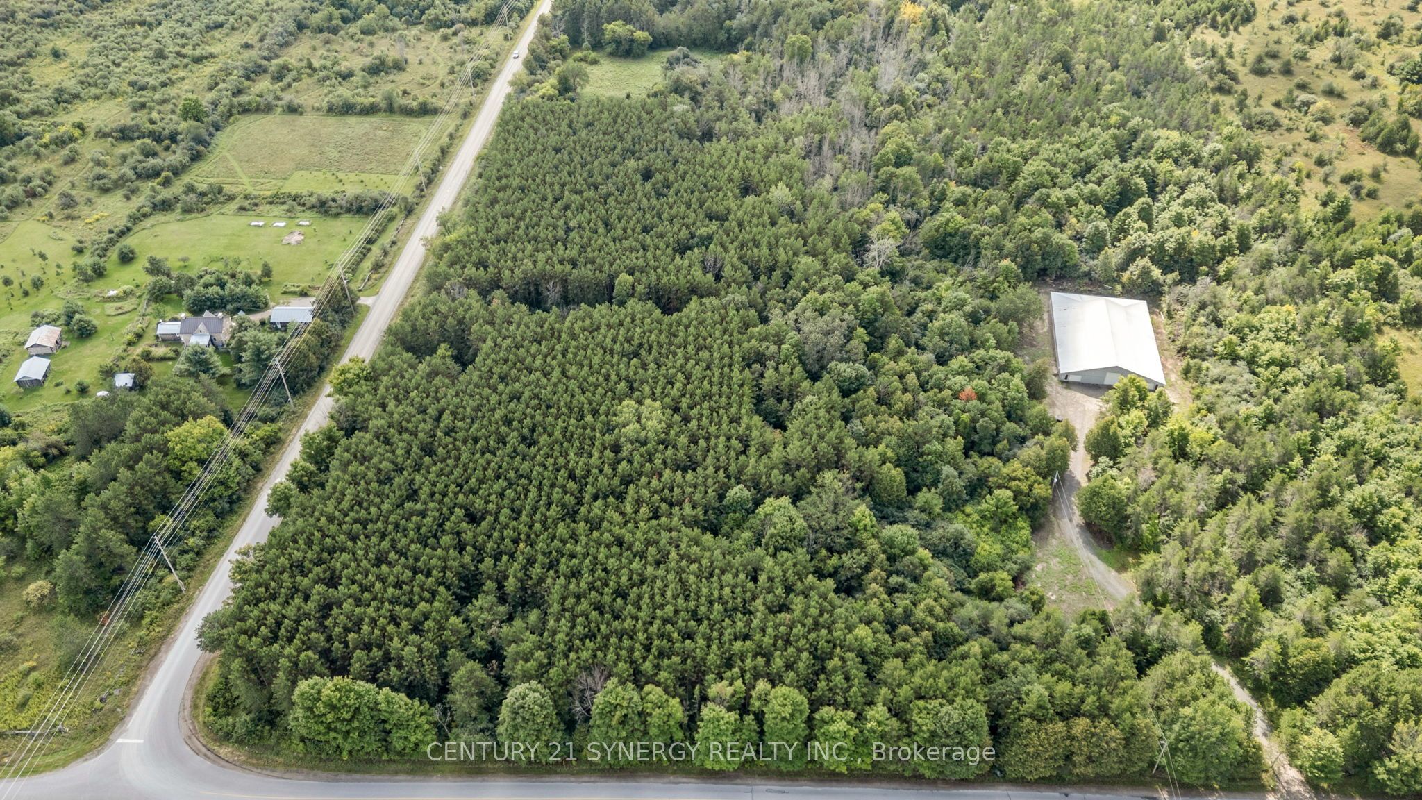 000 Drummond Concession Property Photo 11