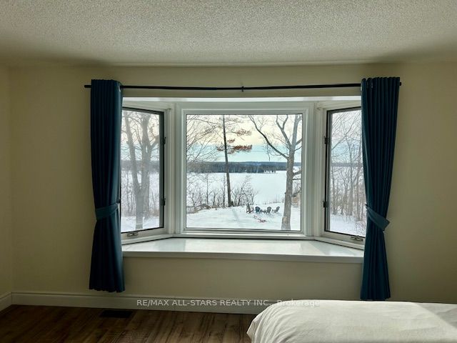 382 County Rd 36 Property Photo 19