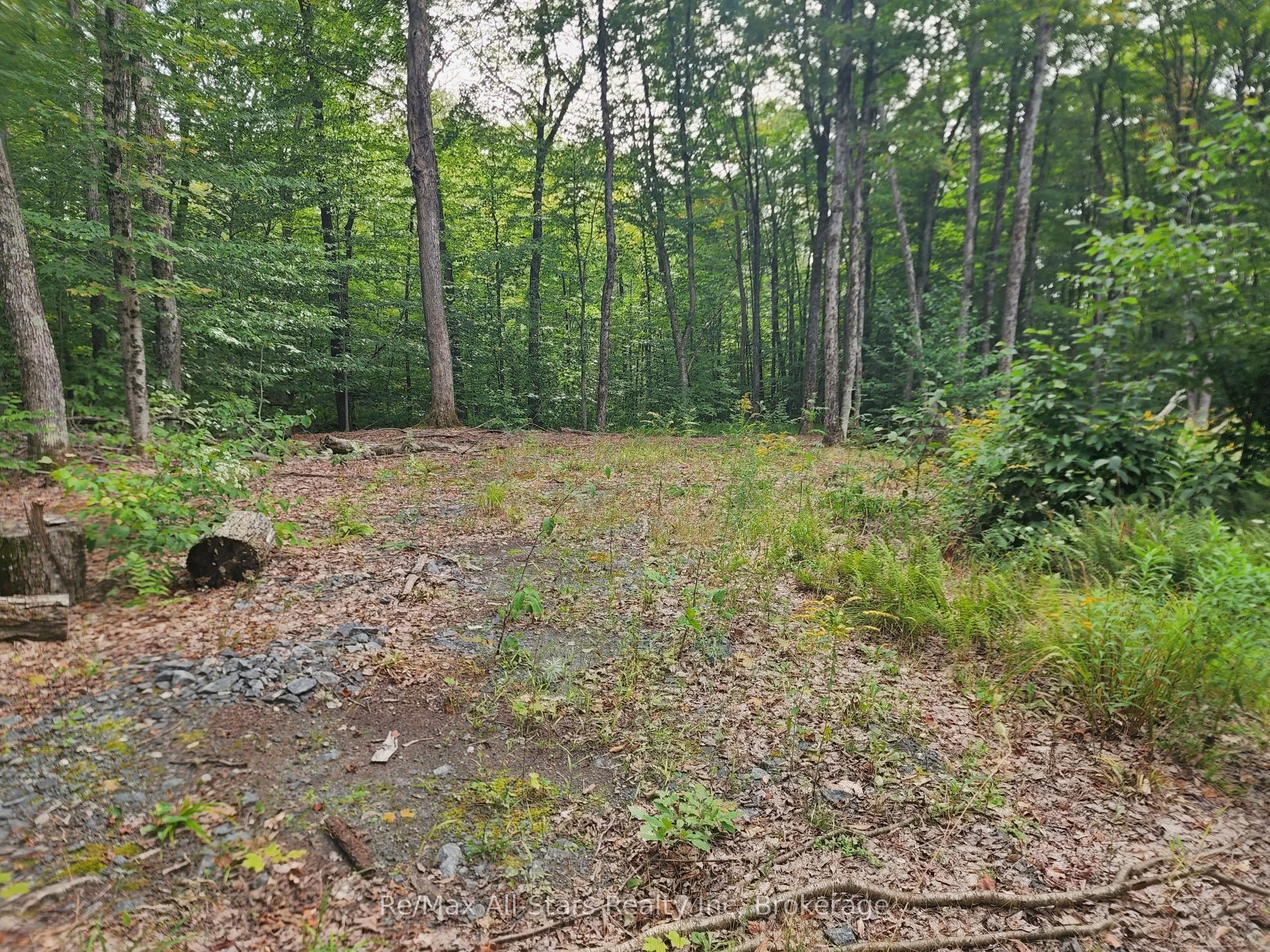 3480 Brunel Road Property Photo 3